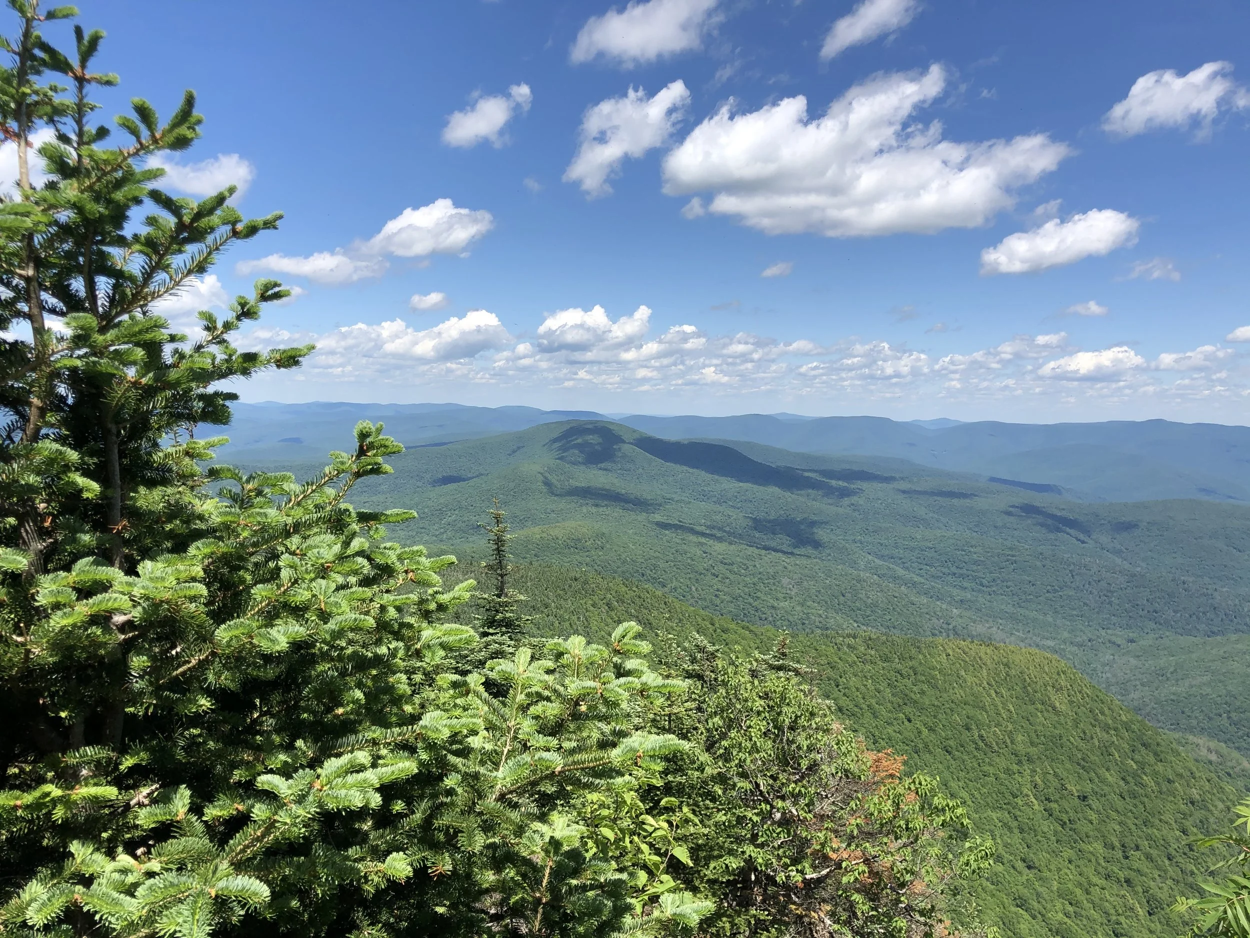 Hike & Learn Series: Slide Mountain