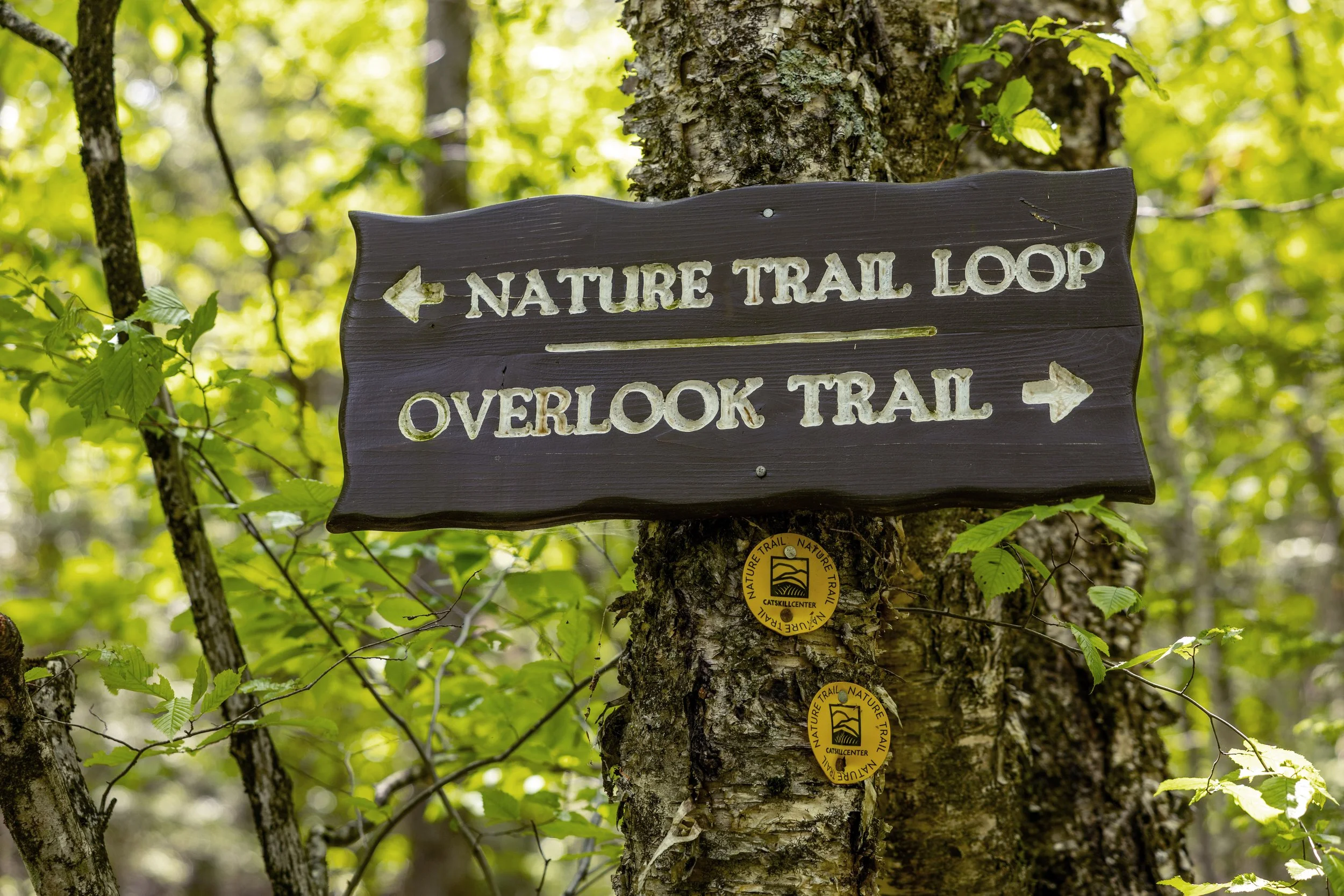 Managing Our Own Lands, Strengthening the Catskill Park