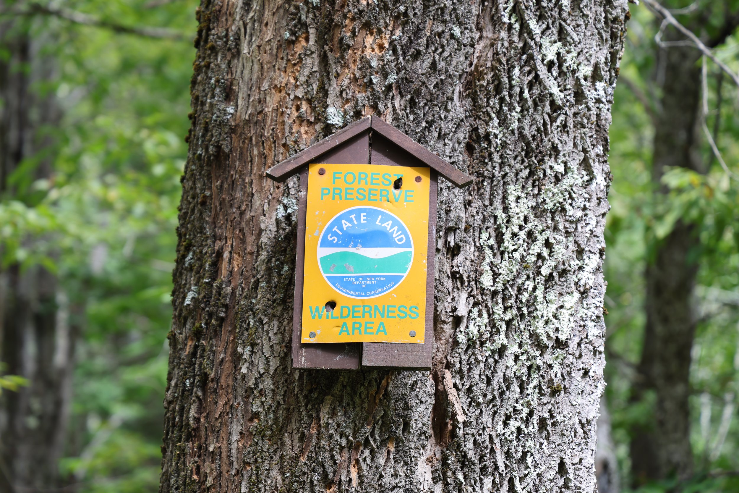 Why Advocacy for Forest Preserve Funding Matters