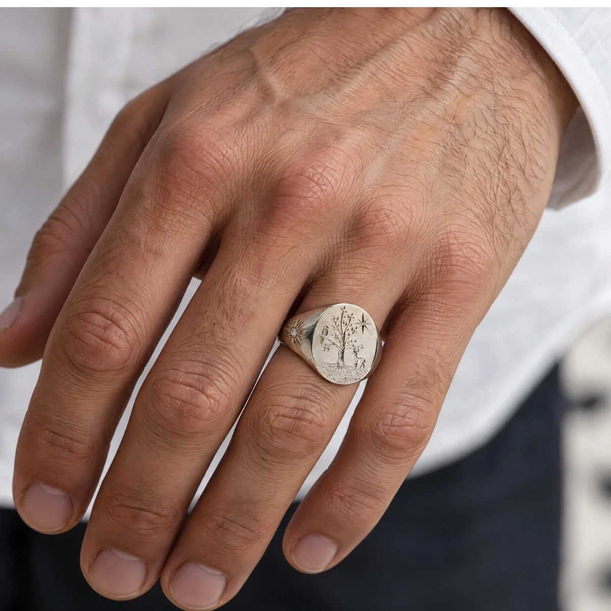 bague apollon armoiries nouvelles (1).jpg