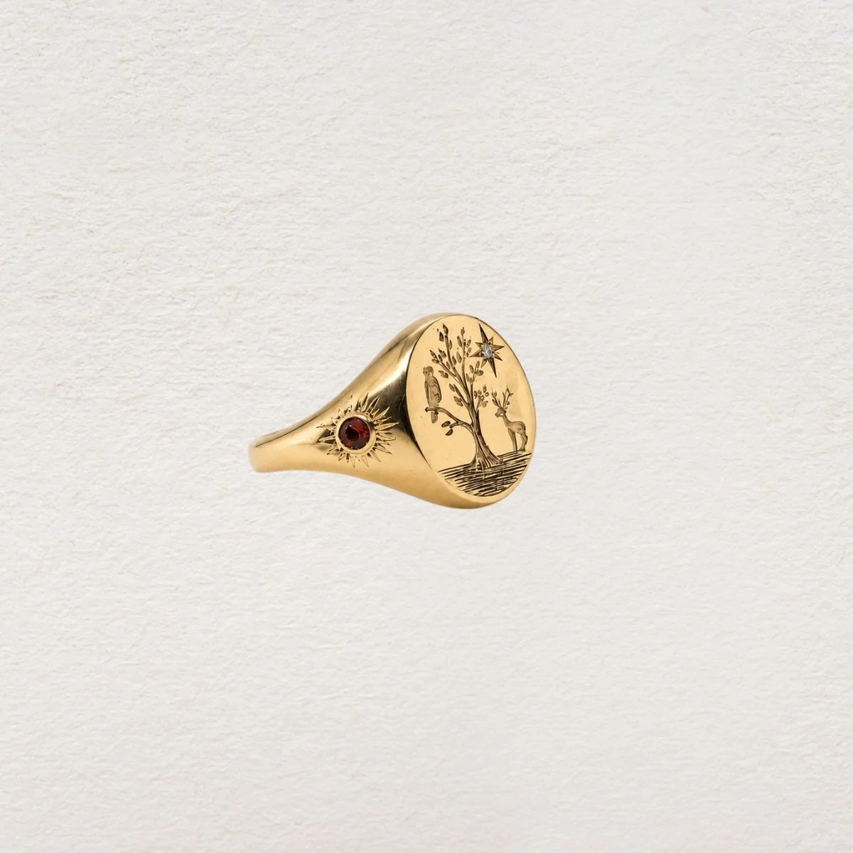bague astree armoiries nouvelles (1).jpg