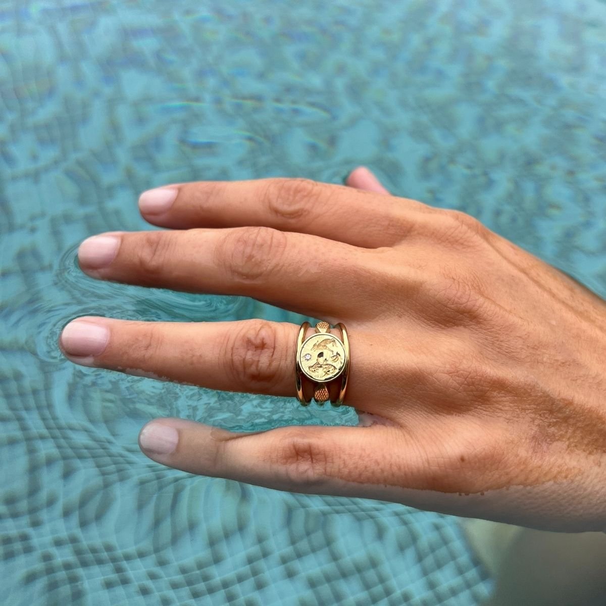 ArmoiriesNouvelles_Inti ring (8).jpg