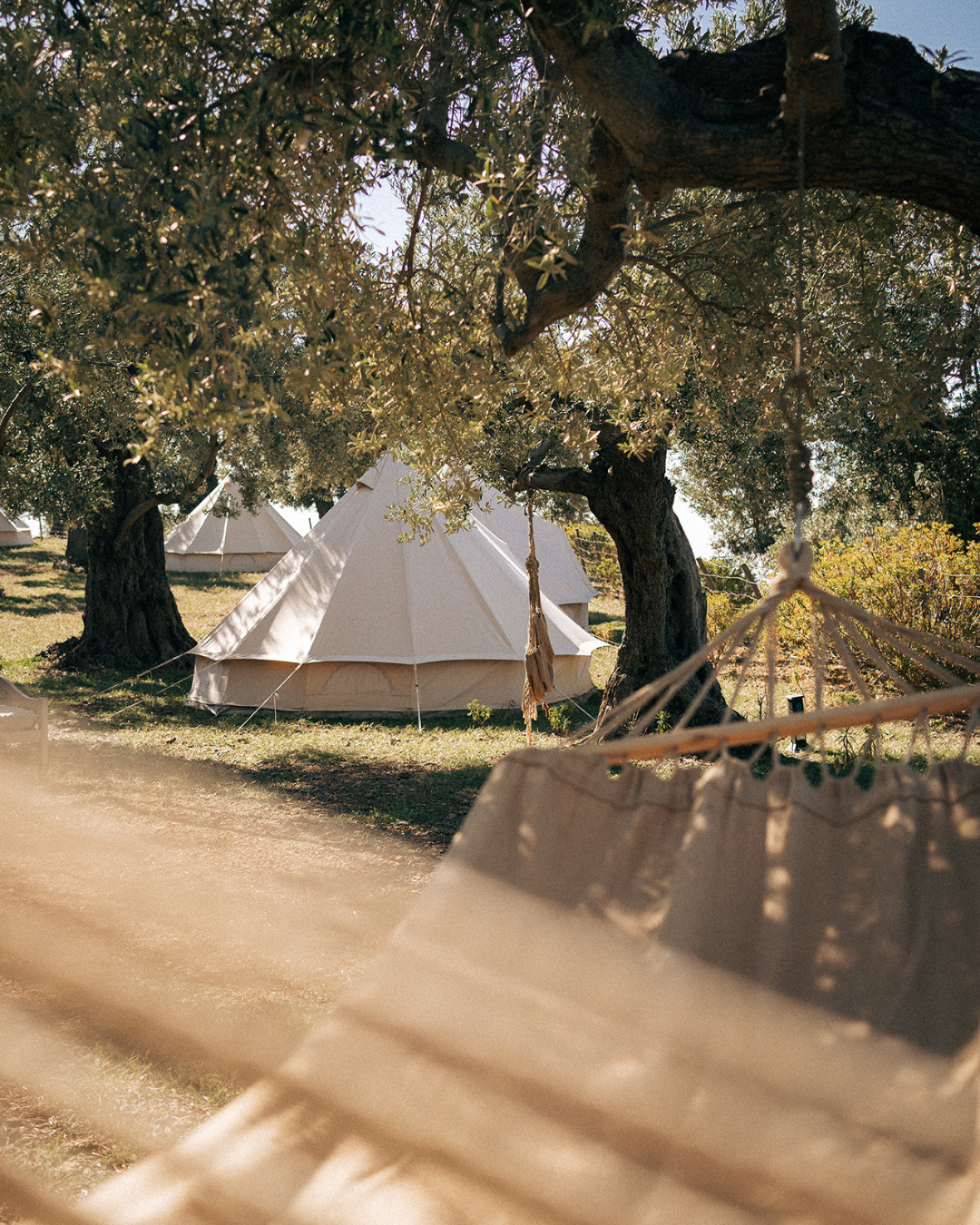 Tiendas tipo tipi de lona blanca entre árboles en un área de camping