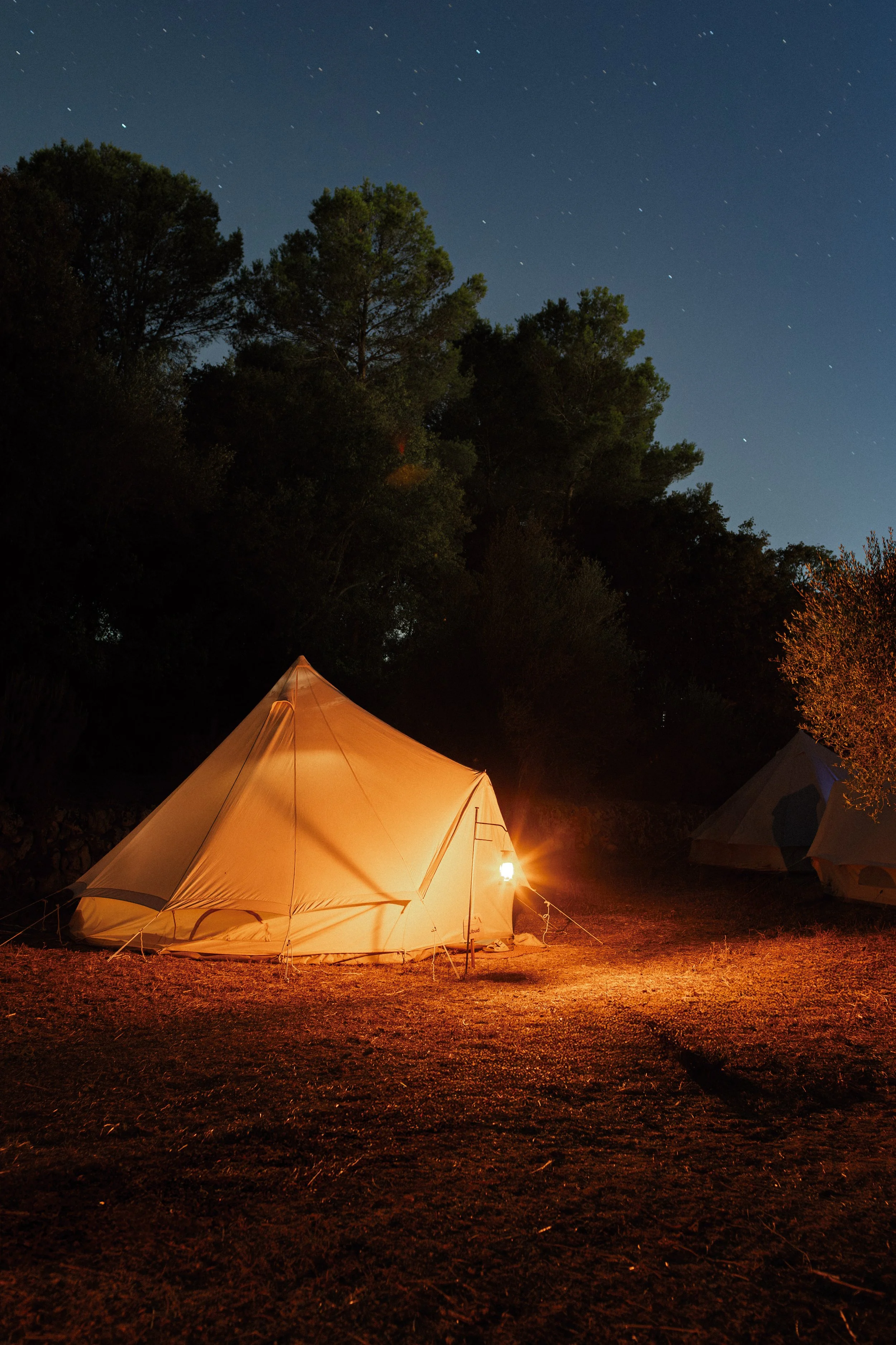 Tiendas de campaña iluminadas en un bosque durante la noche, con un cielo estrellado visible y árboles frondosos.