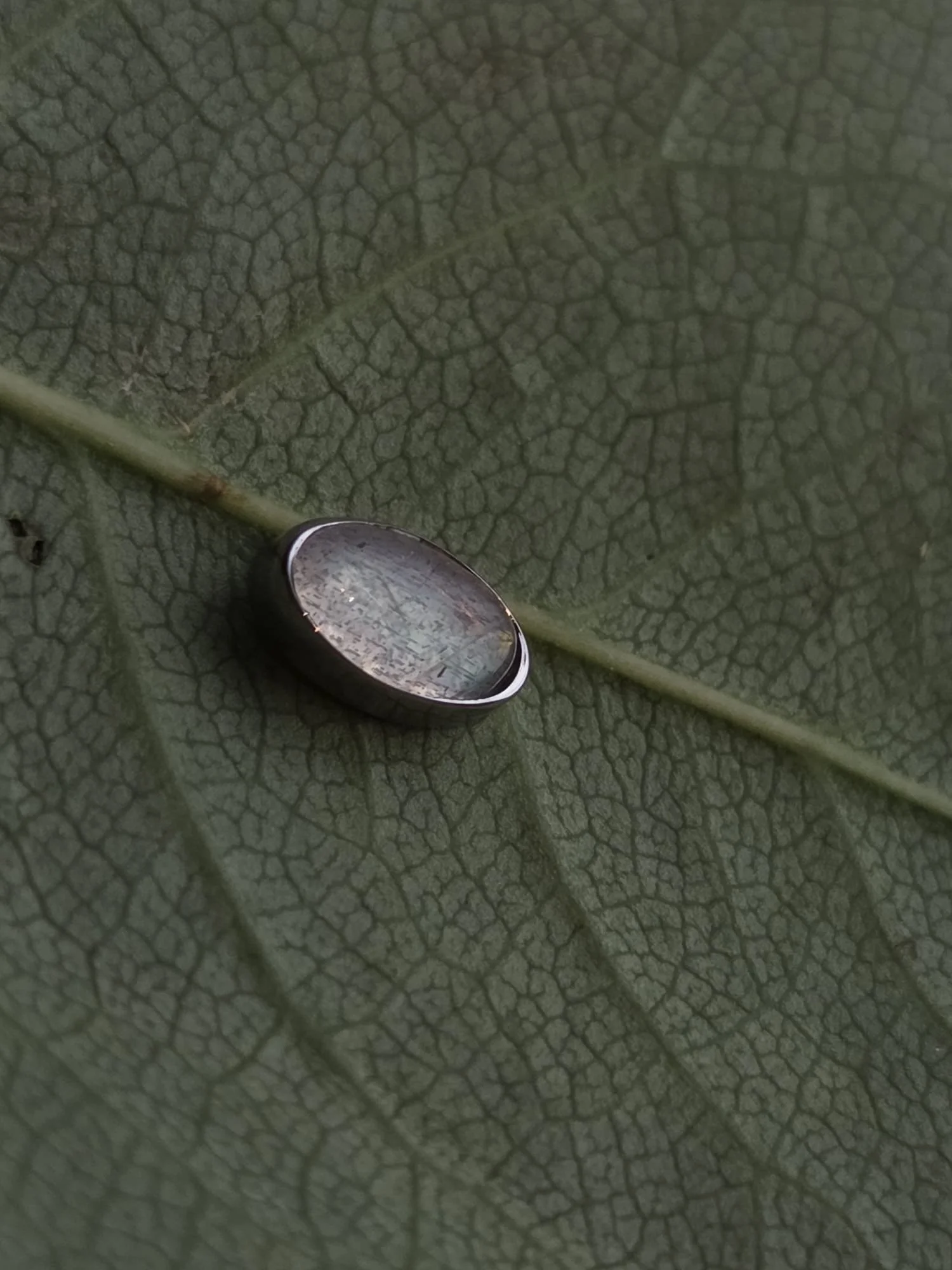 Tremun Oval Cab Labradorite Titanium Internally Threaded End