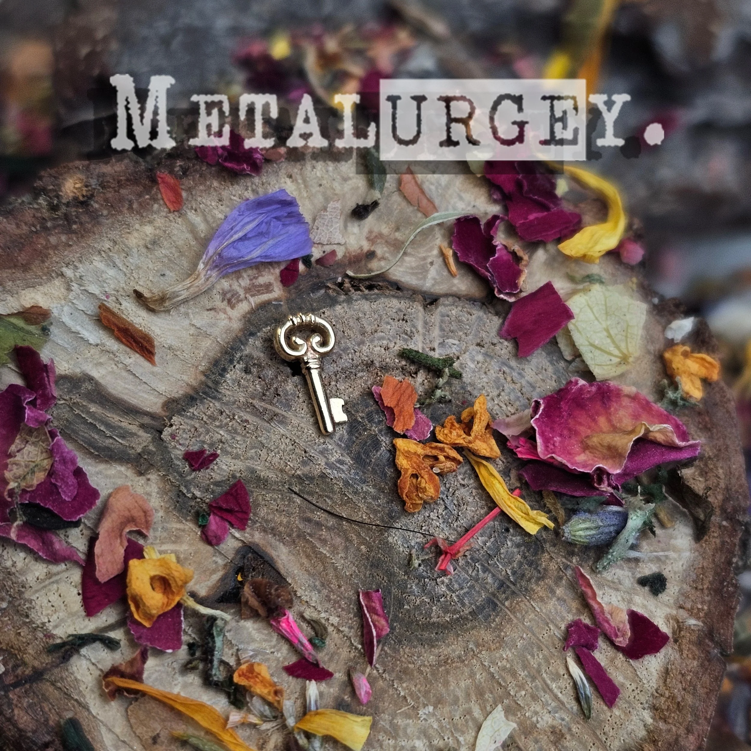 Copy of Copy of Key03.jpg