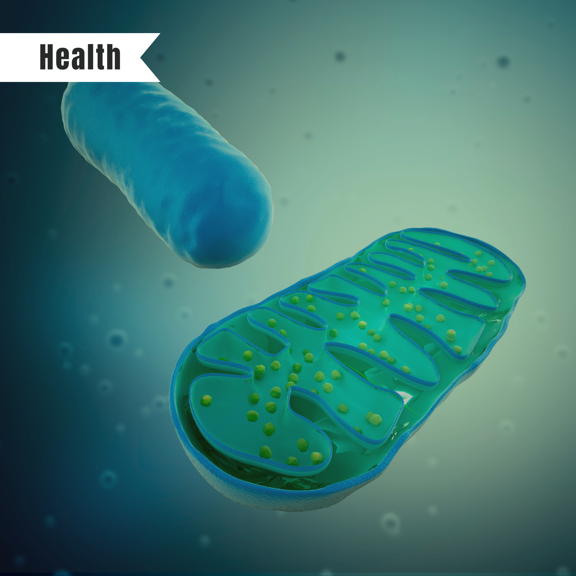 Unlocking the Power of Urolithin A: The Cellular Secret Weapon You Need to Know About