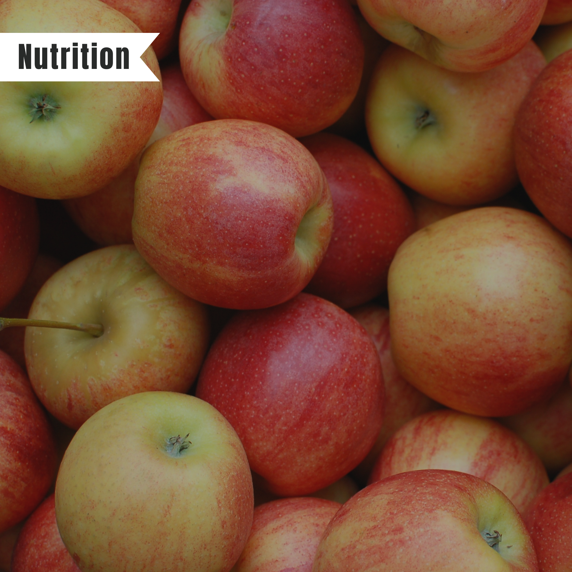 Nutrition Tips to Get a Head Start on Your Goals #CarbsQualityOver Quantity