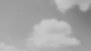 Mary Kutter Booking Info Official Site — Mary Kutter