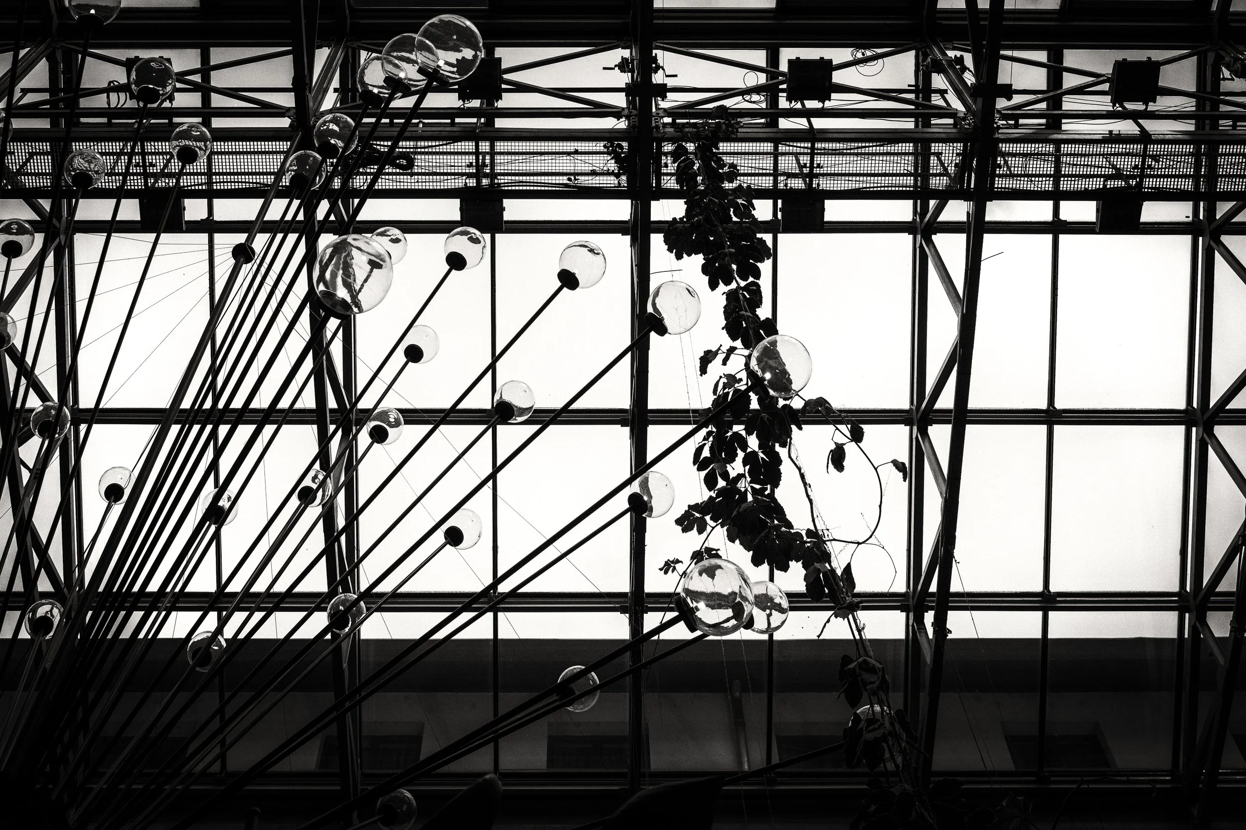 FUJI5925-Edit.jpg