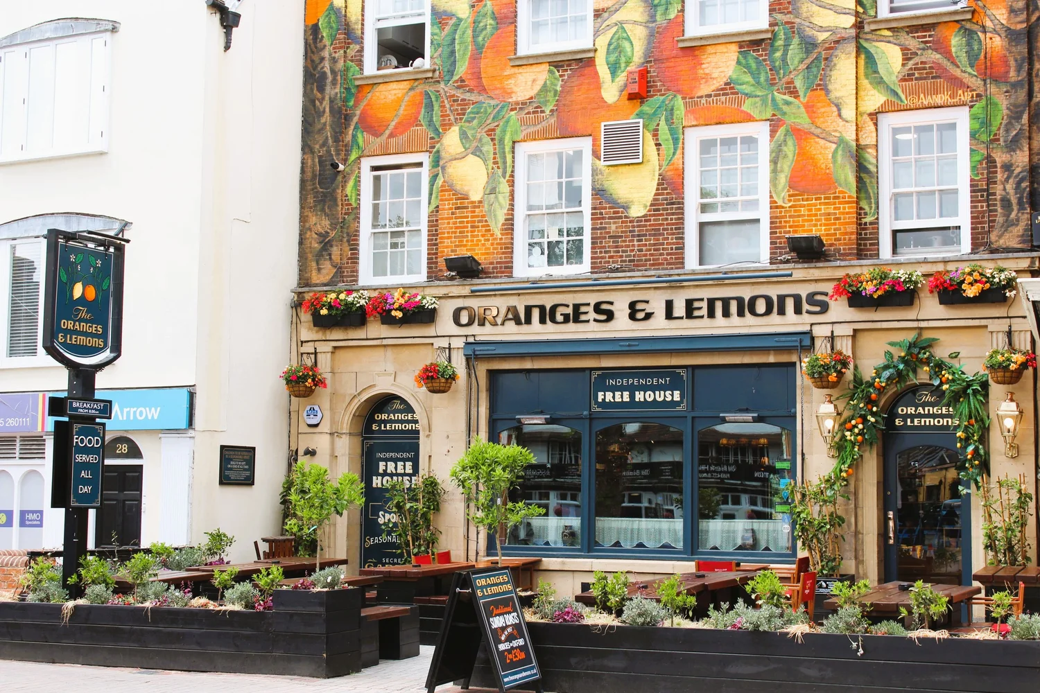 The Oranges & Lemons - OX4