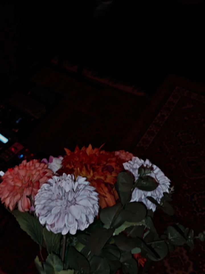 Life Without Love is available on all platforms for a little over a month now 💐 go give it a spin if you like it 📀 

#indierockband #dutchband #dutchindie