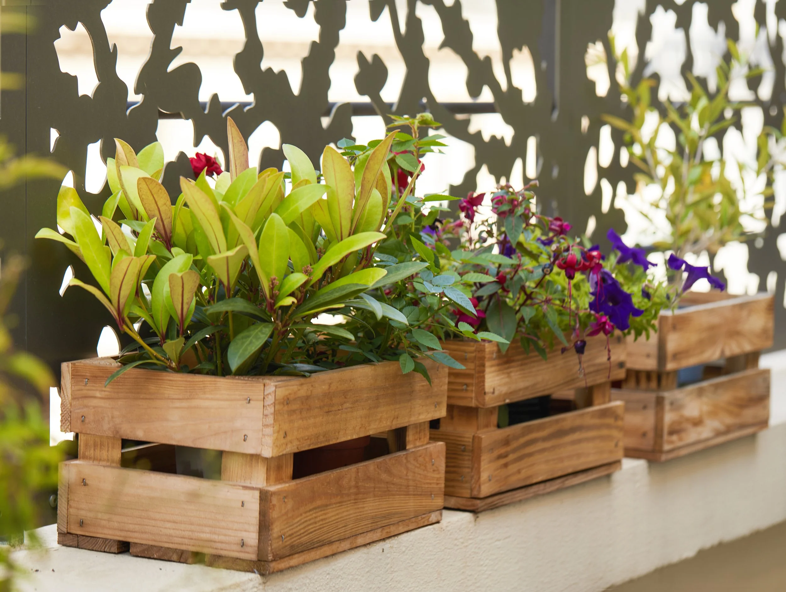 2024_07_22_IP_ARCHI_TERNES_259 2.jpg