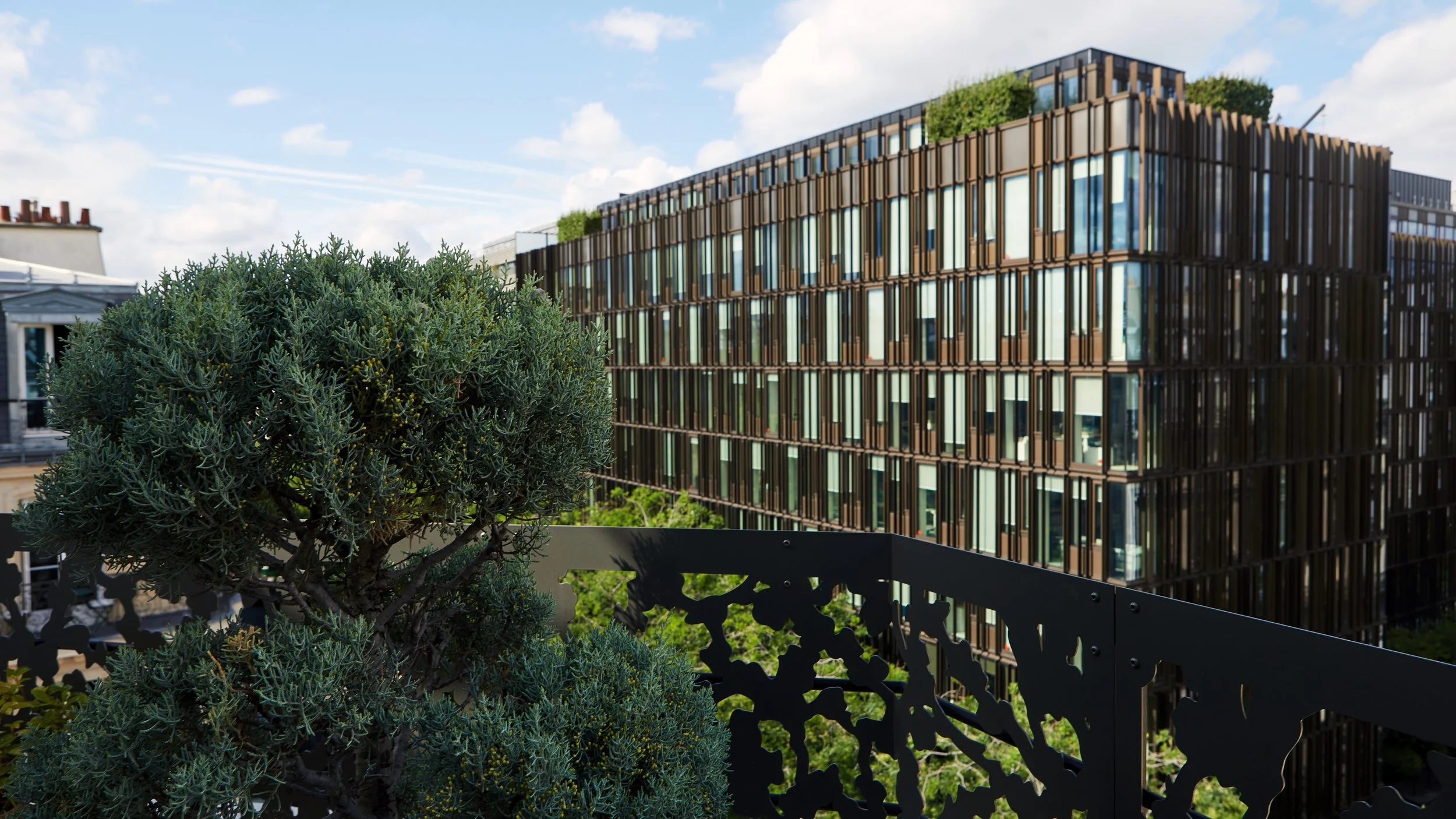 2024_07_22_IP_ARCHI_TERNES_321 2.jpg