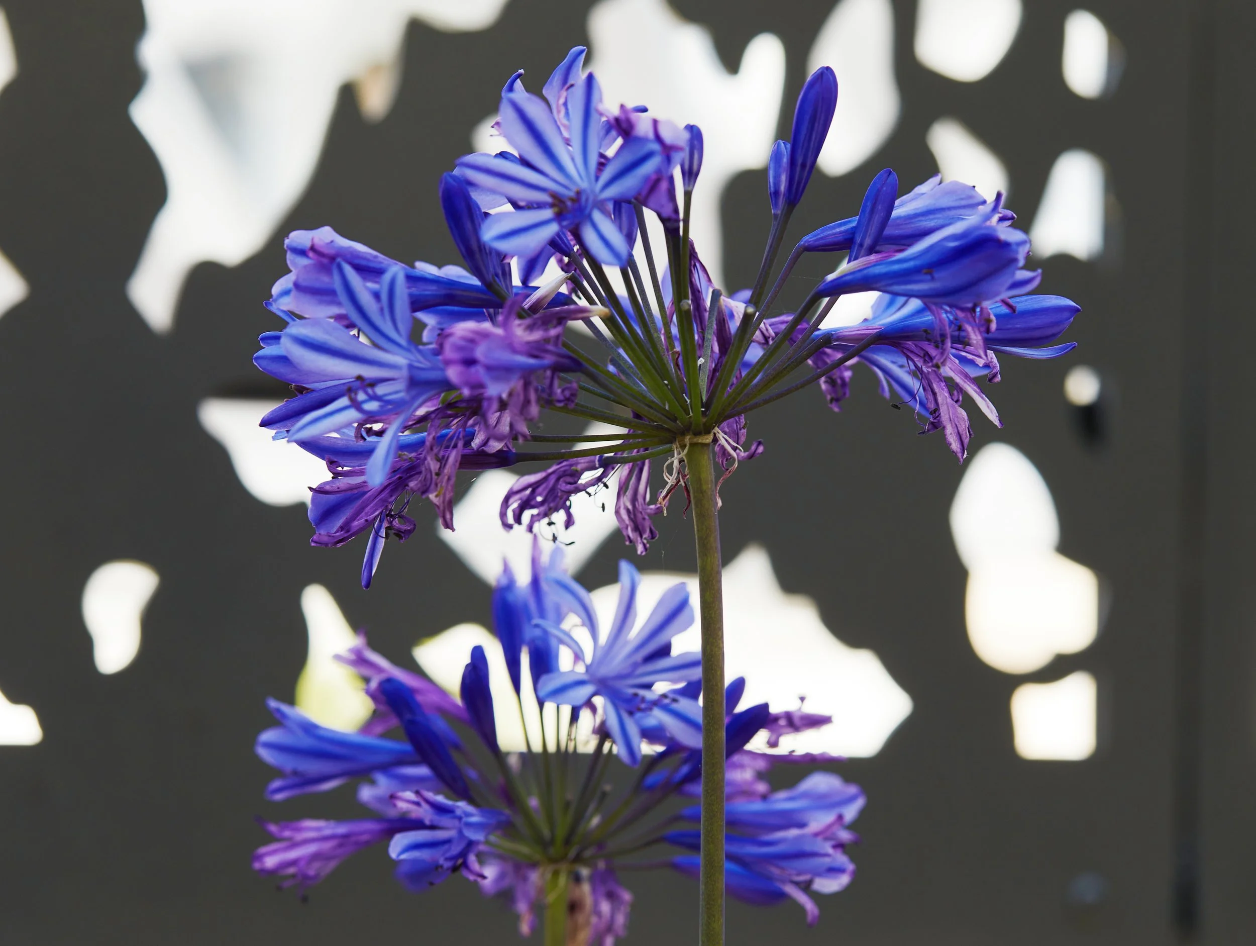 2024_07_22_IP_ARCHI_TERNES_272 2.jpg