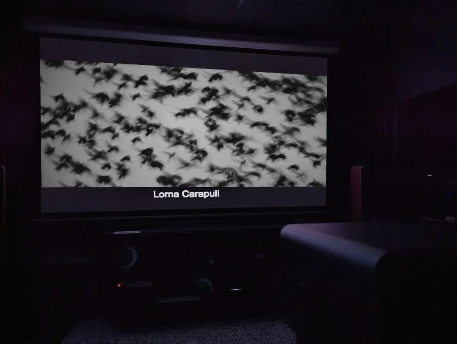 “Flocking” - projected as part of the Leica Tour 2025/26 Palais de Tokyo, Paris