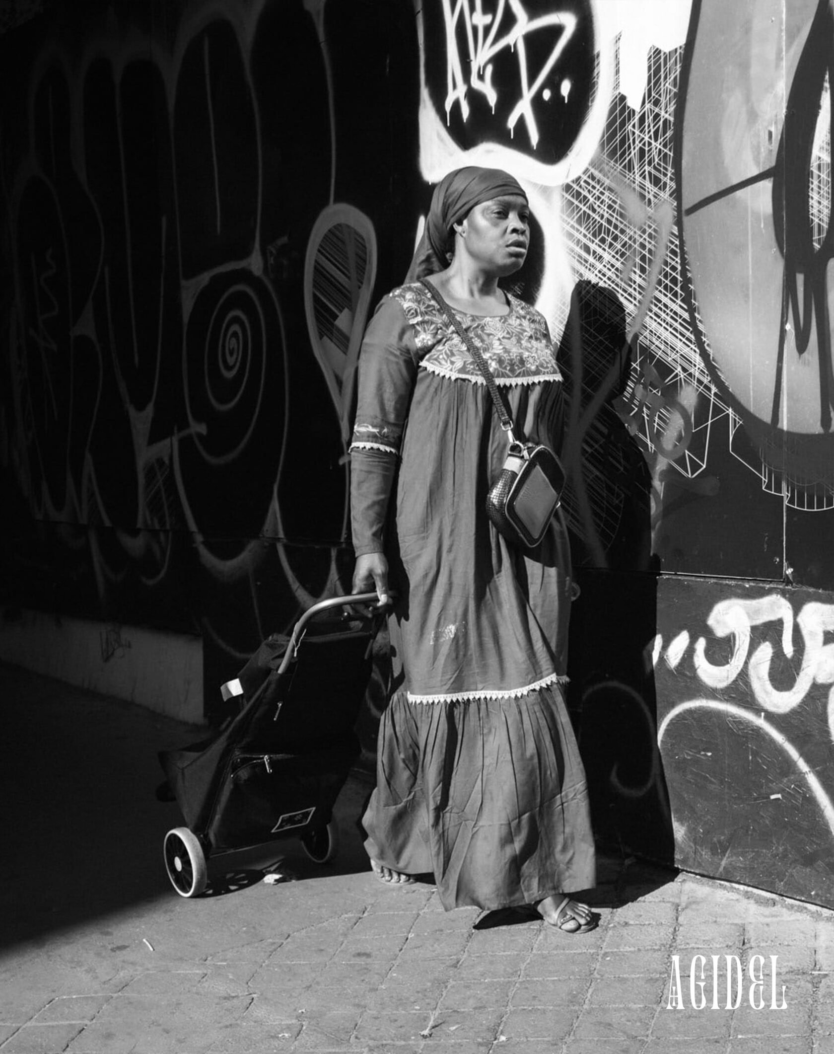 Woman with shopping cart (Agidel)