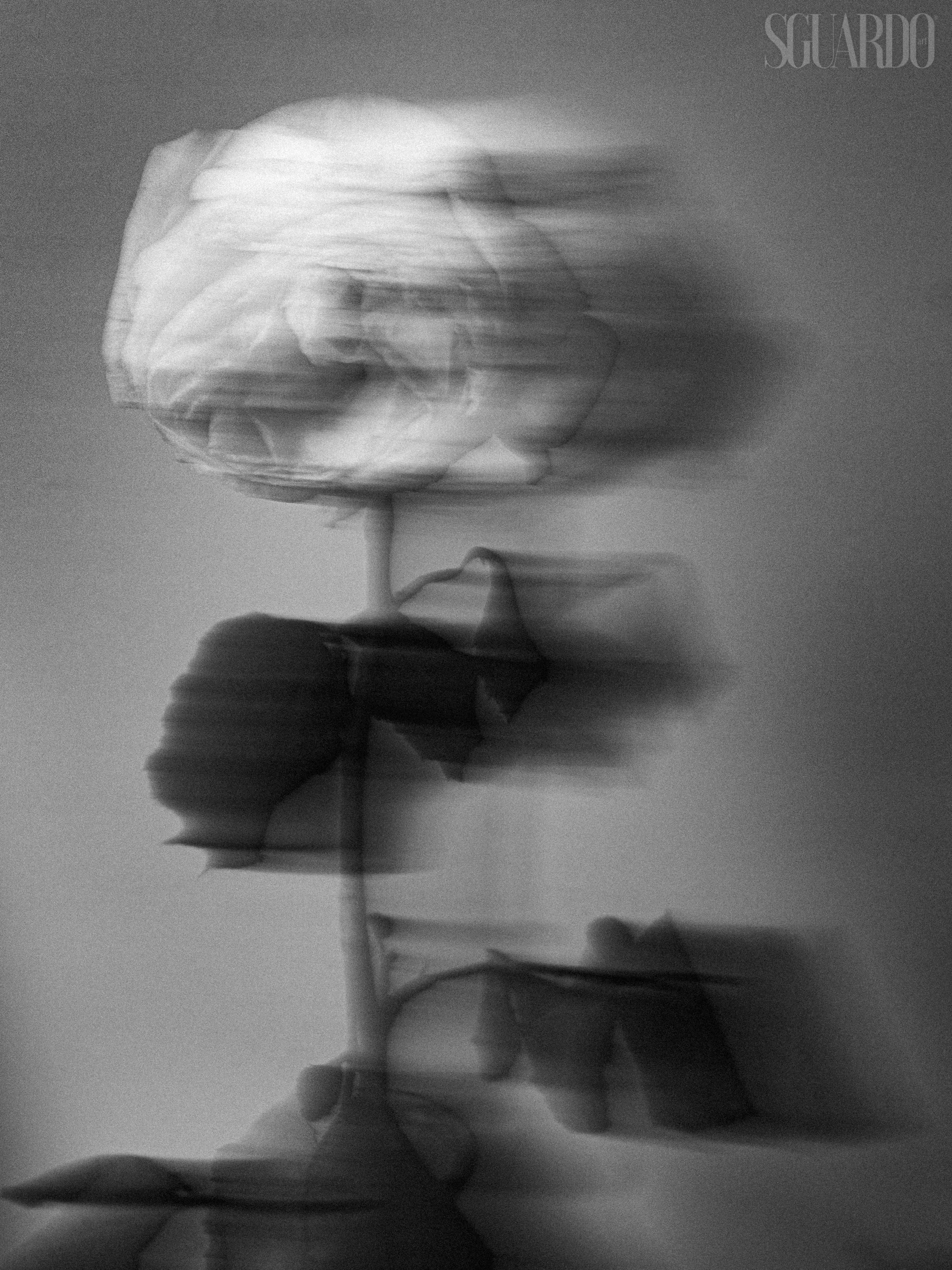 From the series "A Flower's Final Bow" (Sguardo Art)