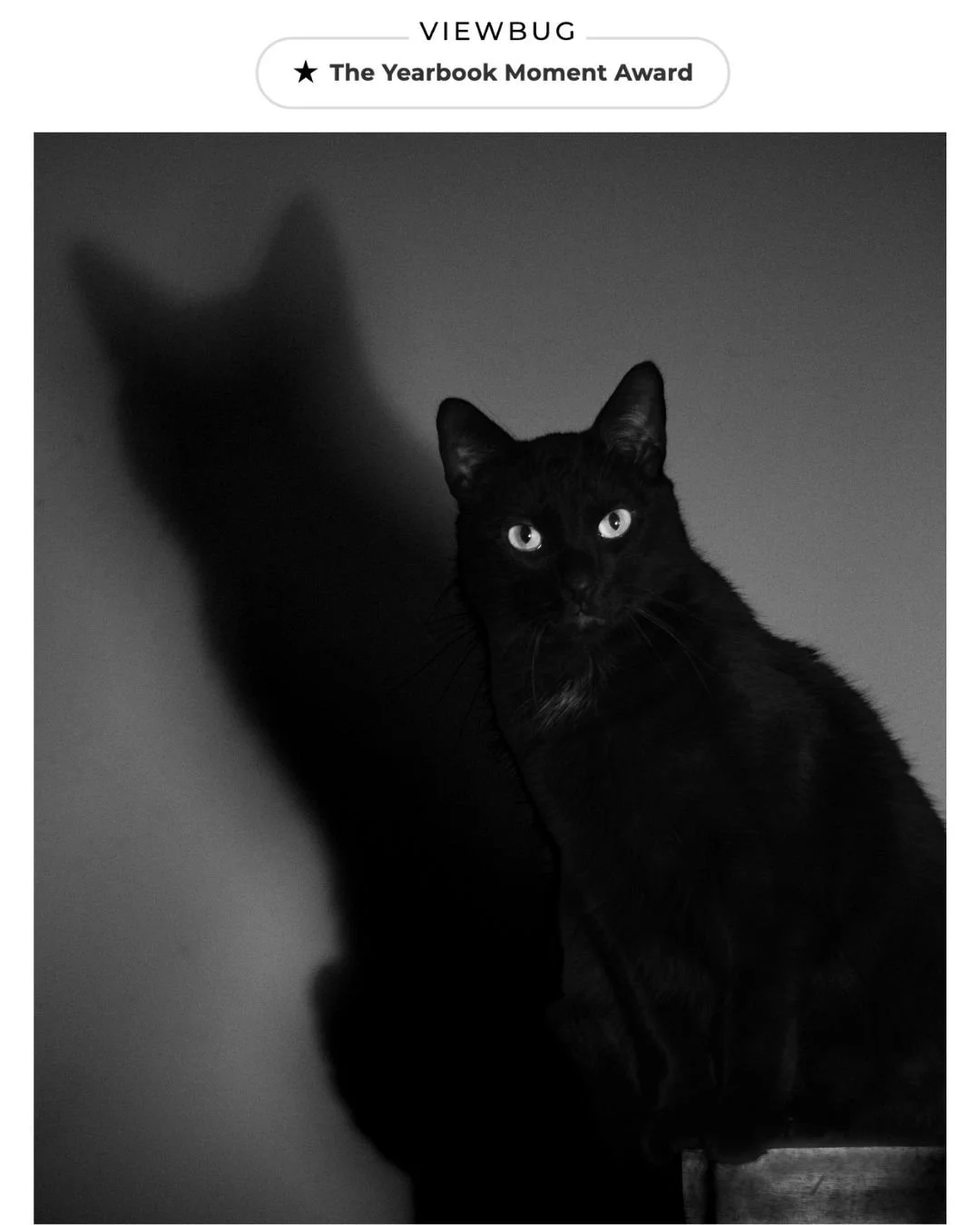 The Yearbook Moment Award (ViewBug)