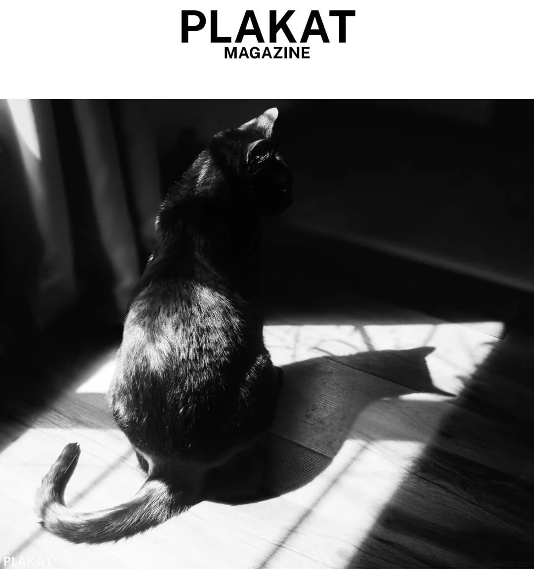 GOODMAN (Plakat Magazine)