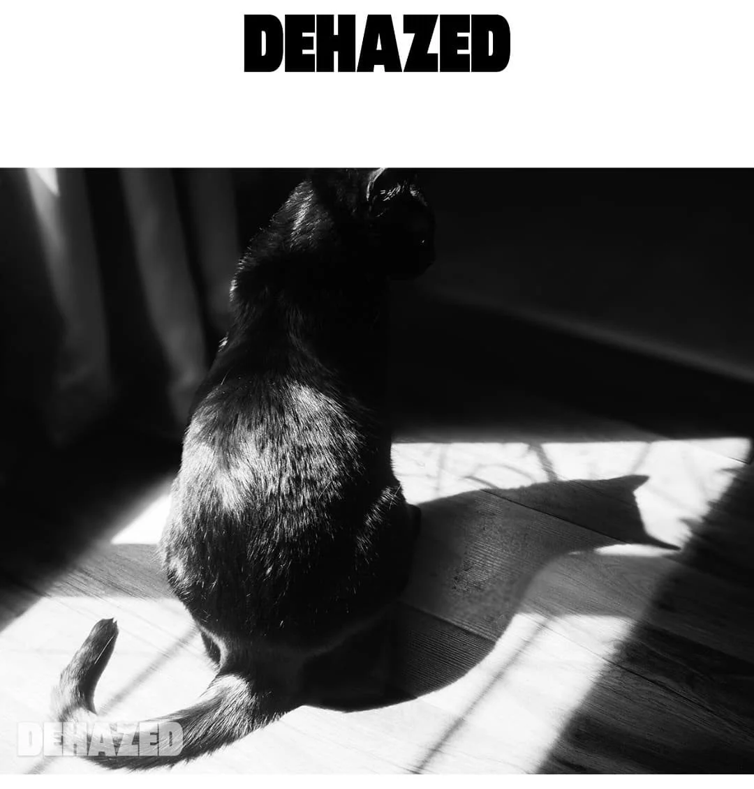 GOODMAN (Dehazed)