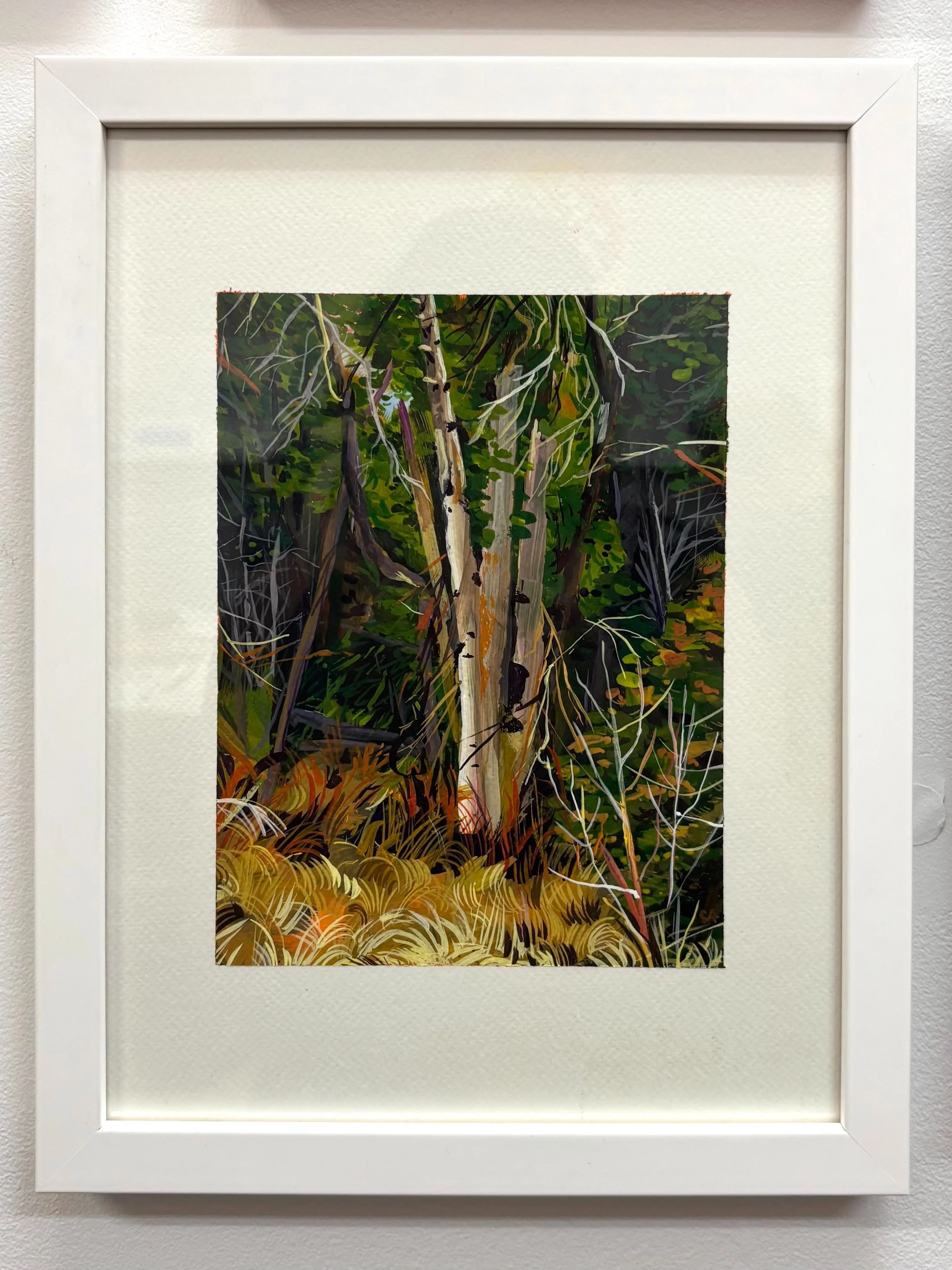 Bendale Ravine, 2025