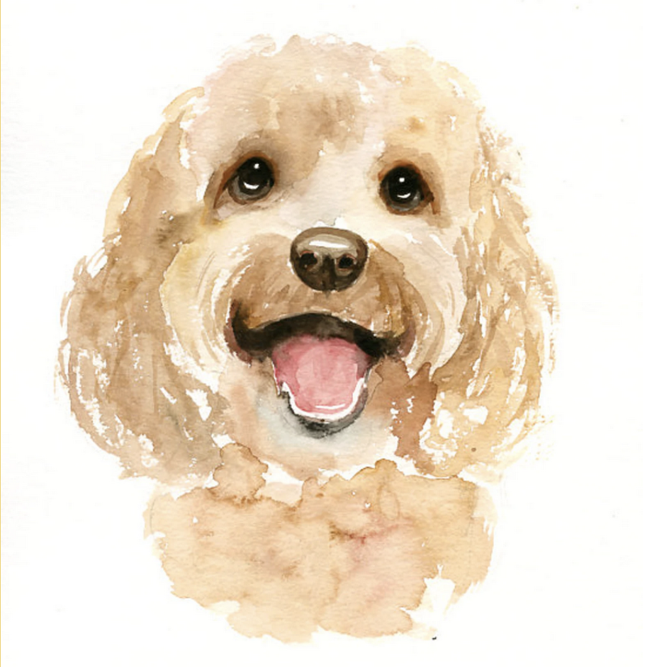 Pet Portraiture