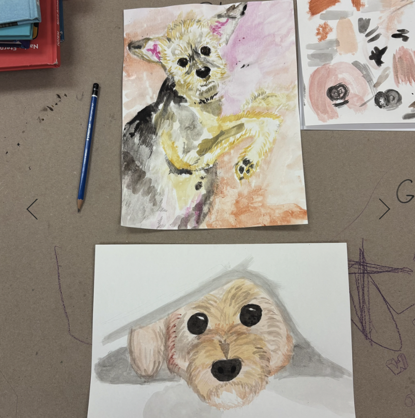 Pet Portraiture