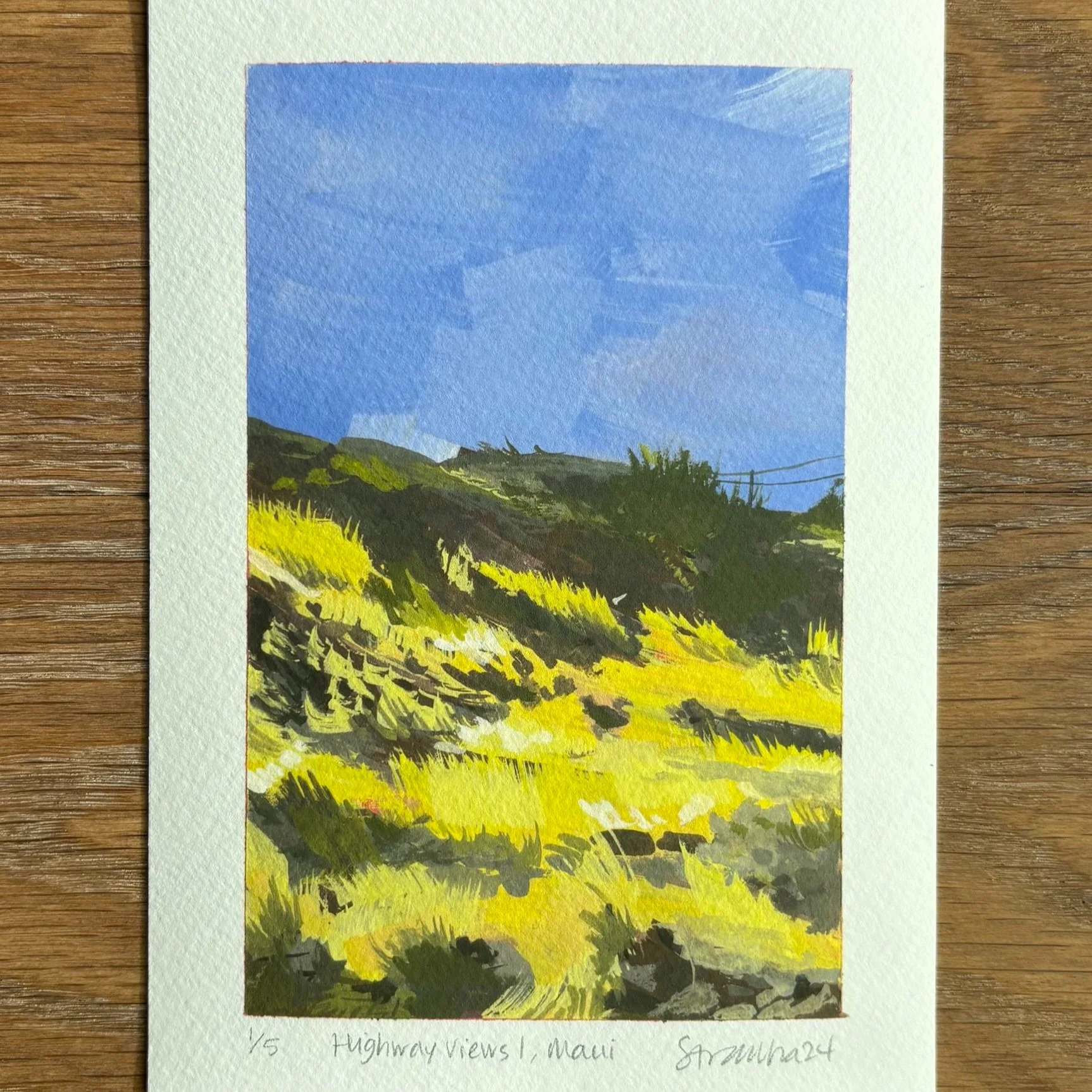 Sarah+Aranha+-+Highway+Views+1+Maui+-+print.jpg