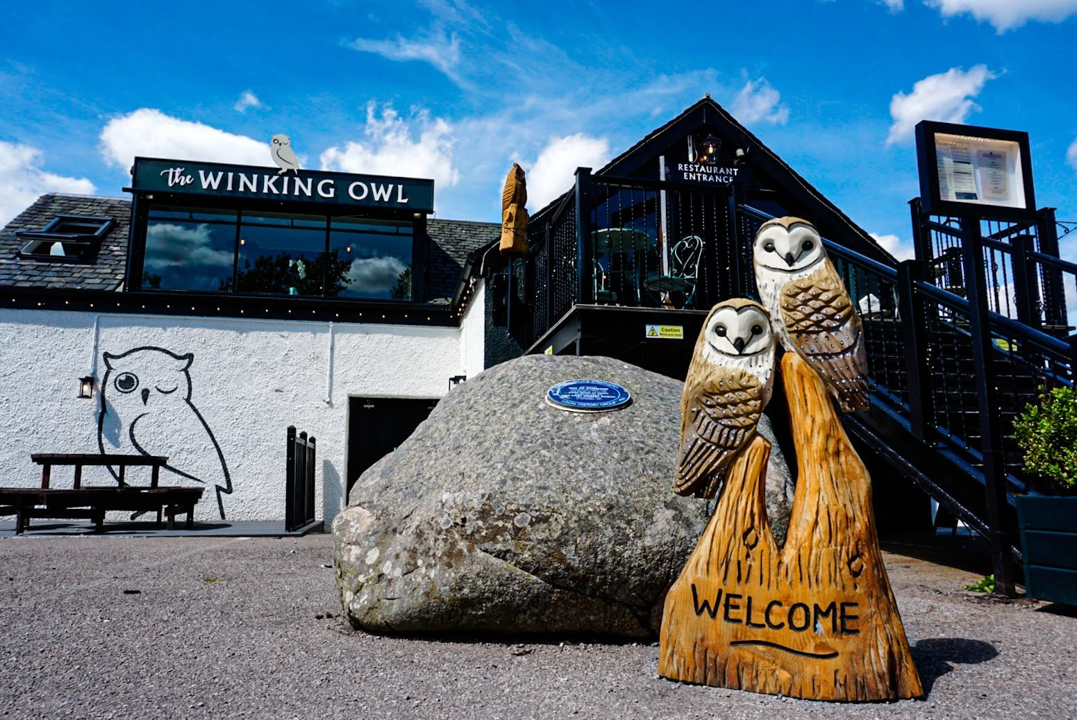 The Winking Owl - Bar and Restaurant | Discover, Dine, Enjoy Today