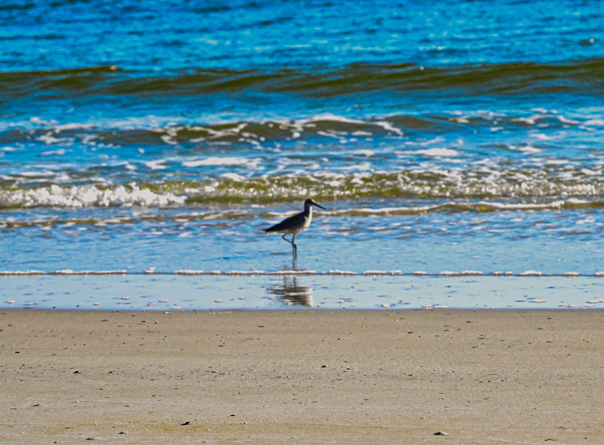 3-DSC_5261.jpg