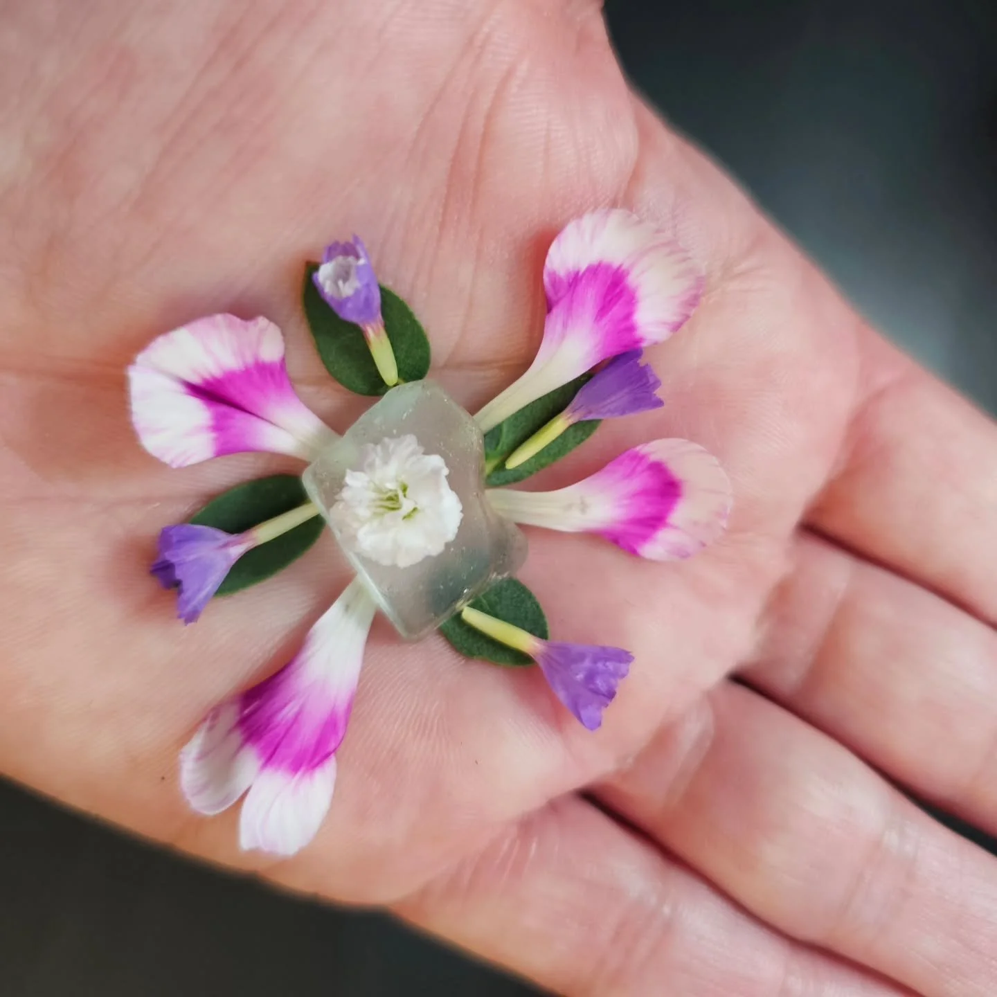 Tiny palm altar. 🩷💜💚
#natureheals #WildHavenNature #morningaltars