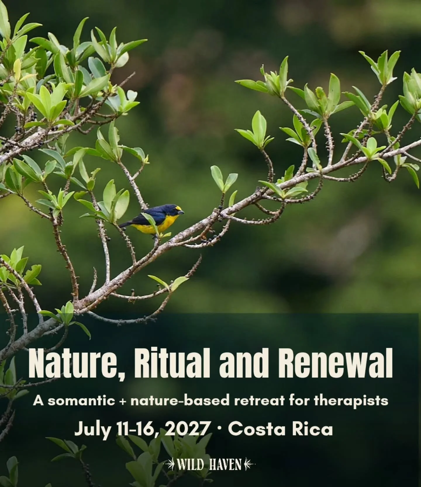 Something powerful is taking shape for Nature, Ritual &amp; Renewal 2027. 🌿🐴

We&rsquo;re designing new CE workshops that are somatic, nature-based, deeply experiential, and guided by the wisdom of the land and the horses.

This year, we&rsquo;re s