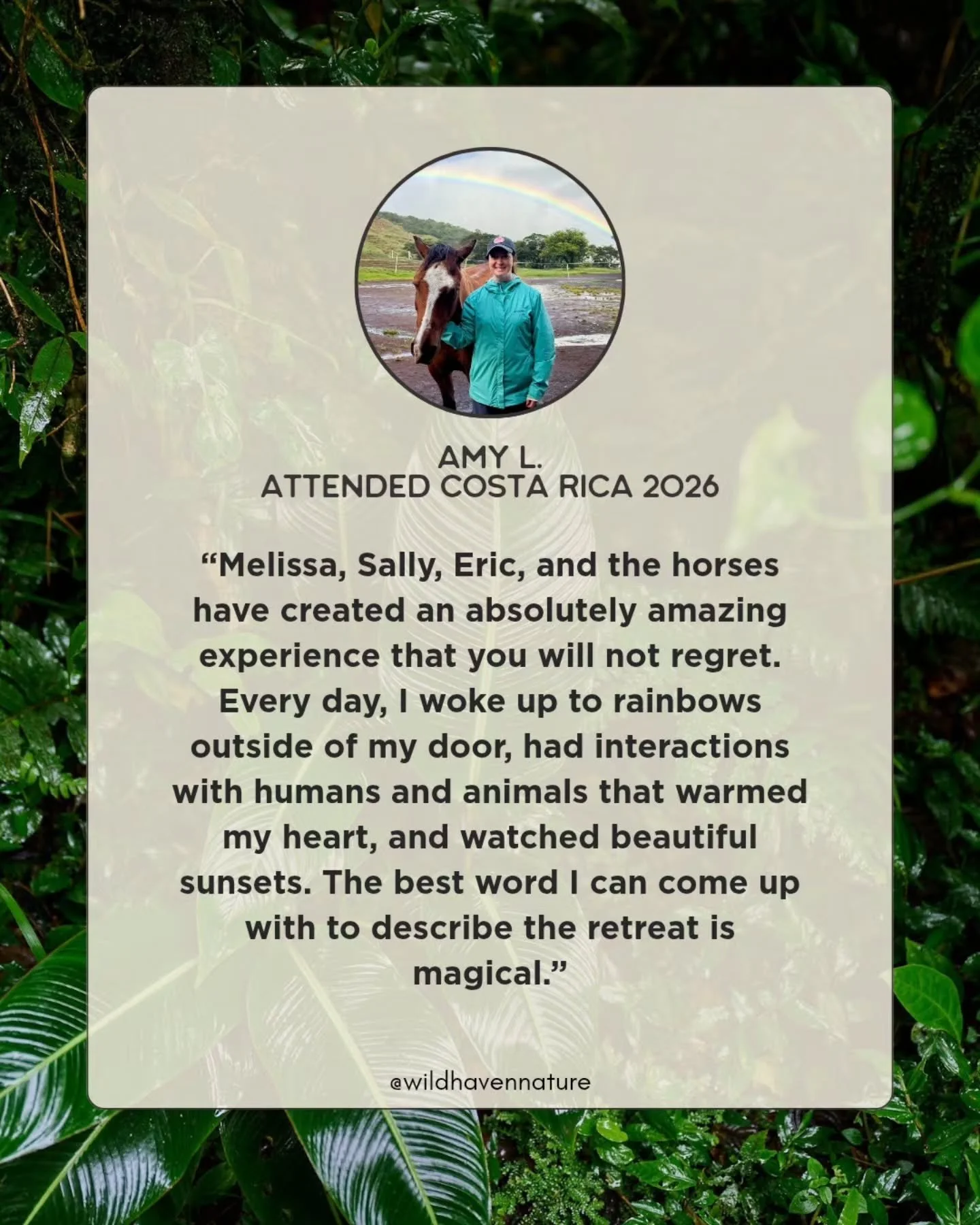 Another review from my 2026 Nature, Ritual and Renewal Costa Rica retreat. What a magical experience it was...thanks for your kind words, Amy!  #TherapistRetreat #Ecotherapy #naturetherapy #SomaticExperiencing