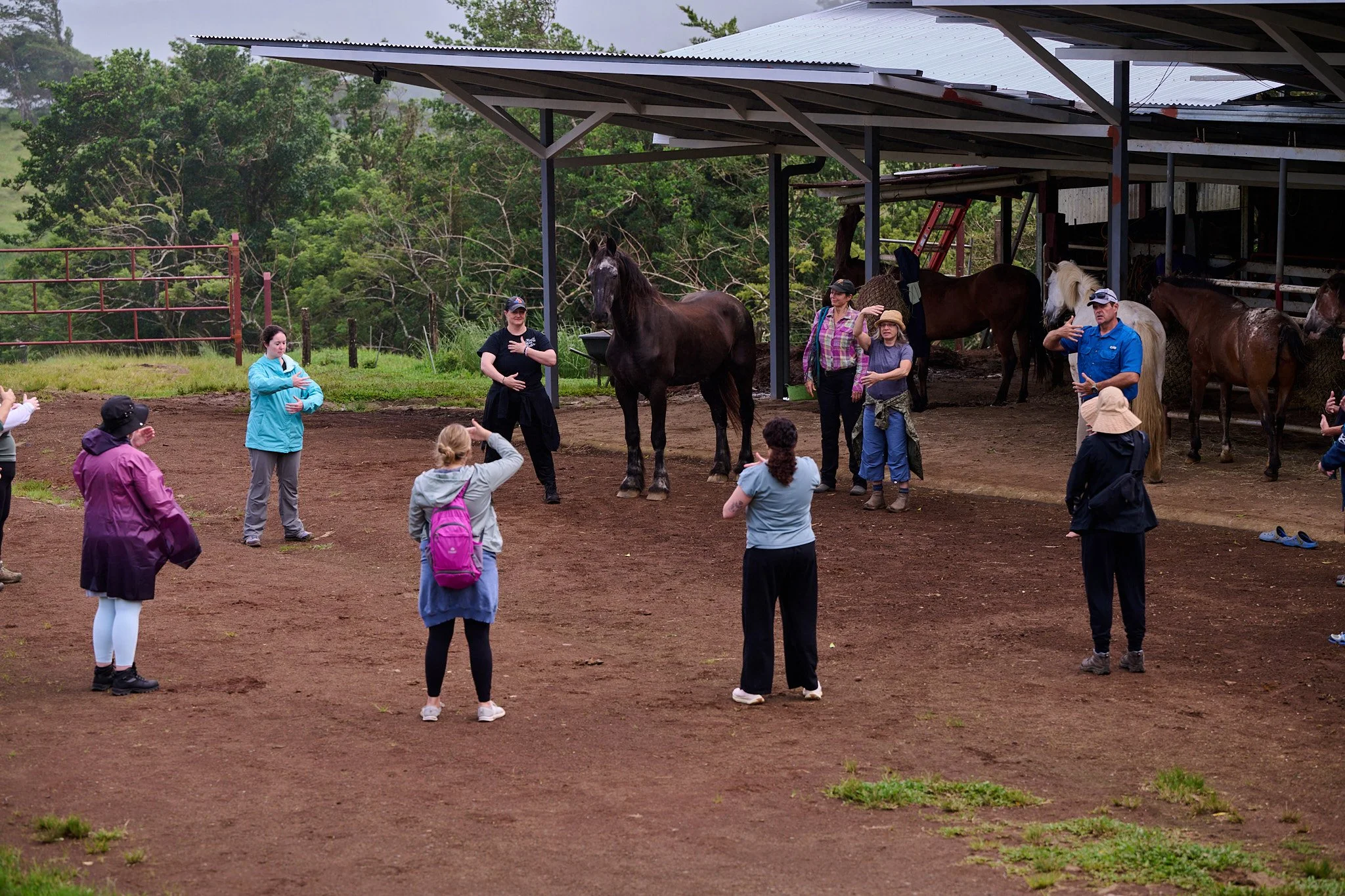 Day2-MorningFeed&QiGong_RachaelKershawPhotography71.jpg