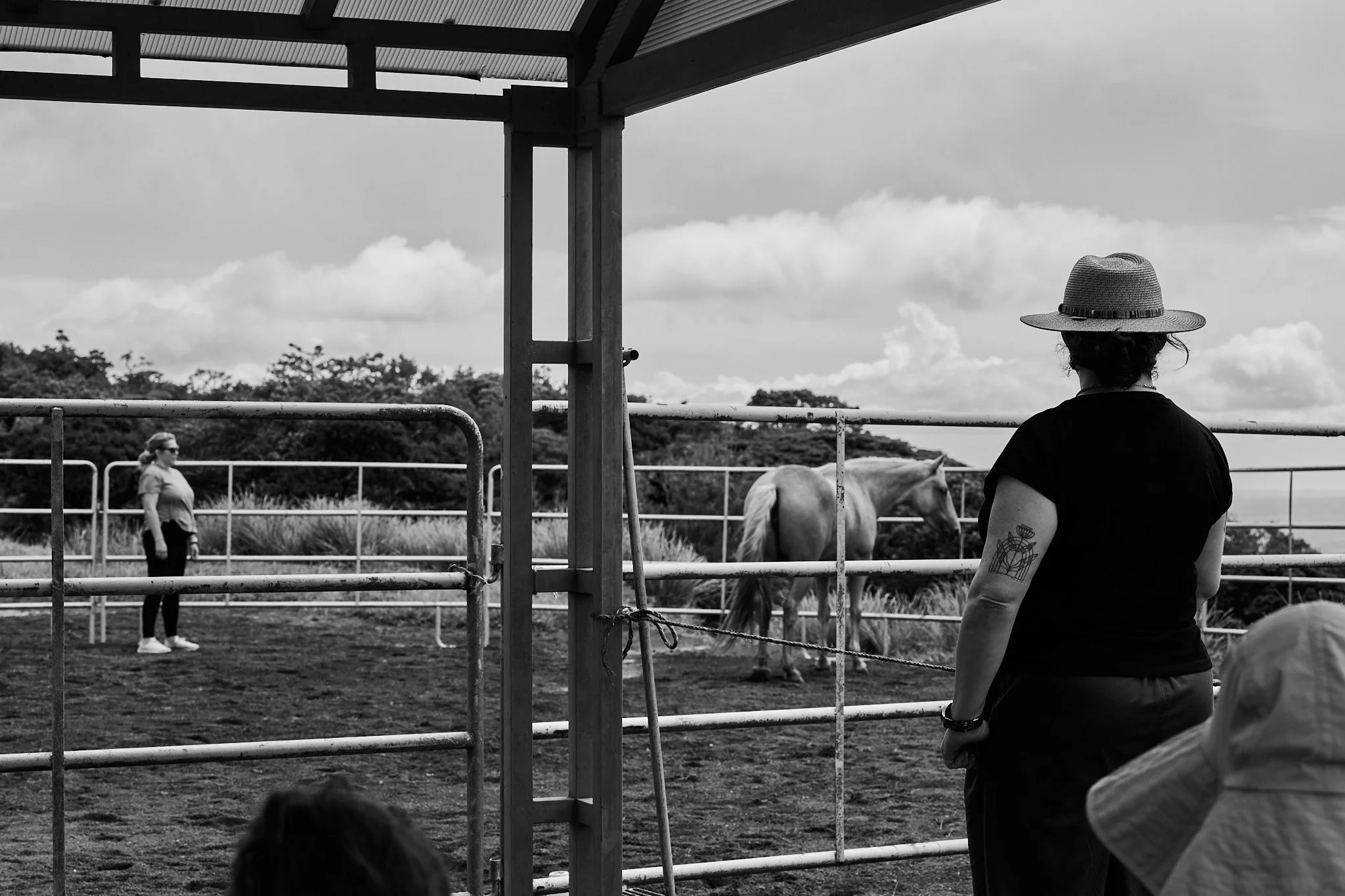 Day1-CETraining-SomaticWorkwithHorses_RachaelKershawPhotography377.jpg
