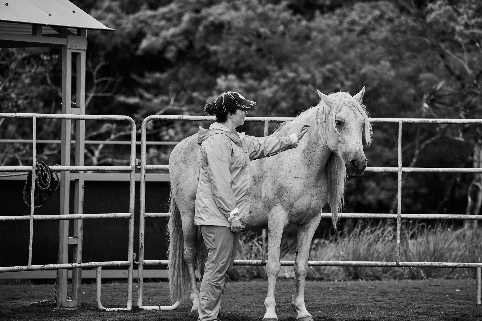 Day1-CETraining-SomaticWorkwithHorses_RachaelKershawPhotography262.jpg