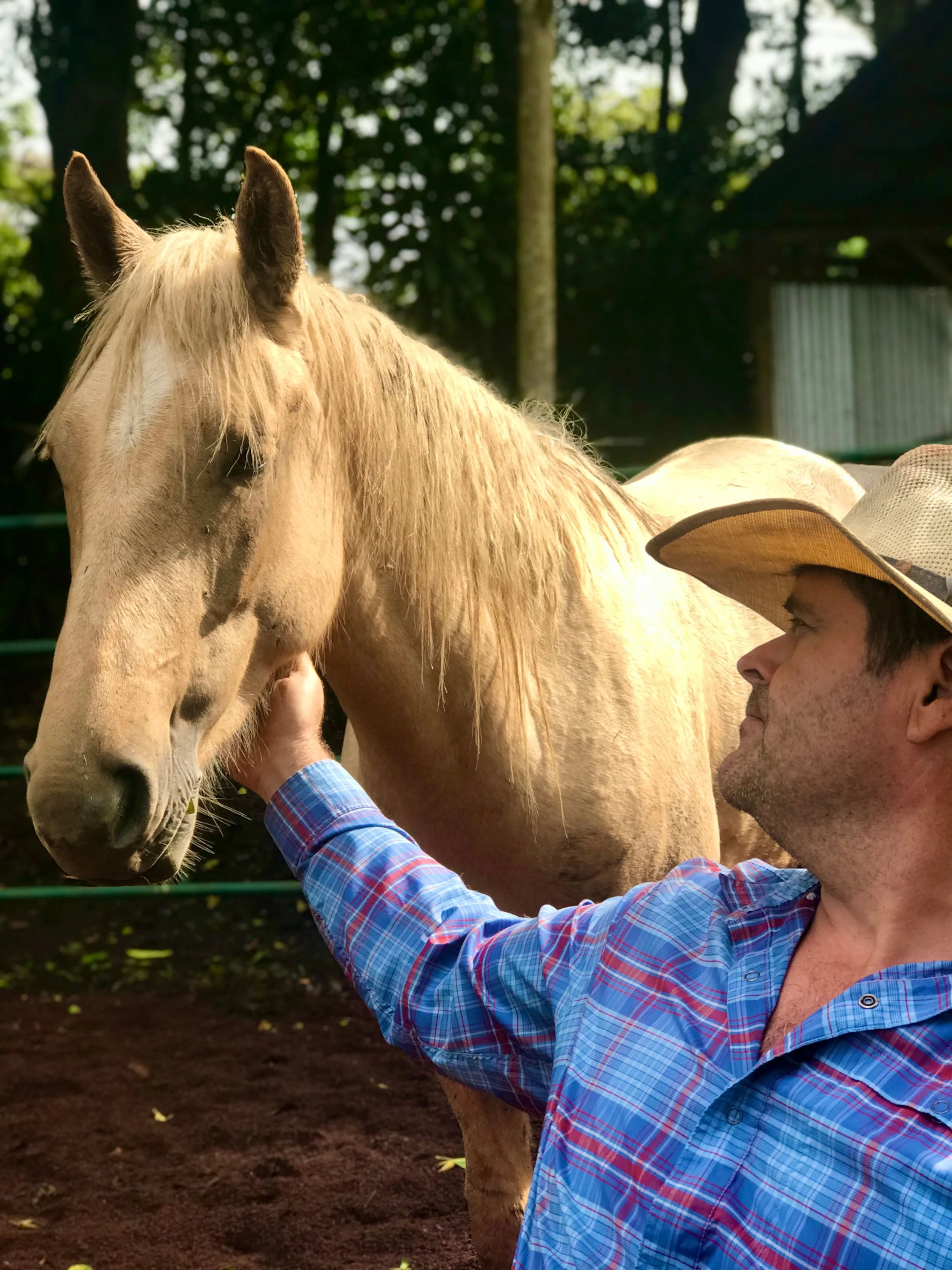Eric leads equine healing in Costa Rica