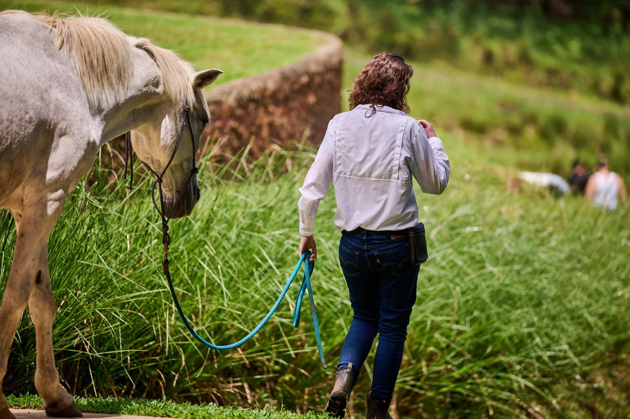 Day1-CETraining-SomaticWorkwithHorses_RachaelKershawPhotography103.jpg