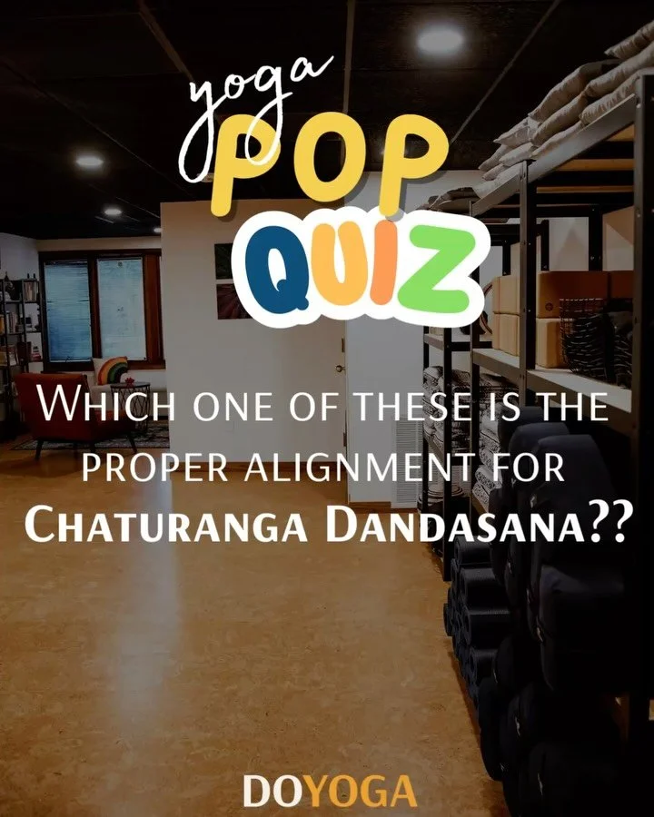 Alignment Refinement Workshop 2/1!! We will work through the postures of the Sun Salutation A/ the Vinyasa/ the flow. 

These postures are the most used in a yoga class but do you feel proficient in them? Are you doing them in a sustainable way that 