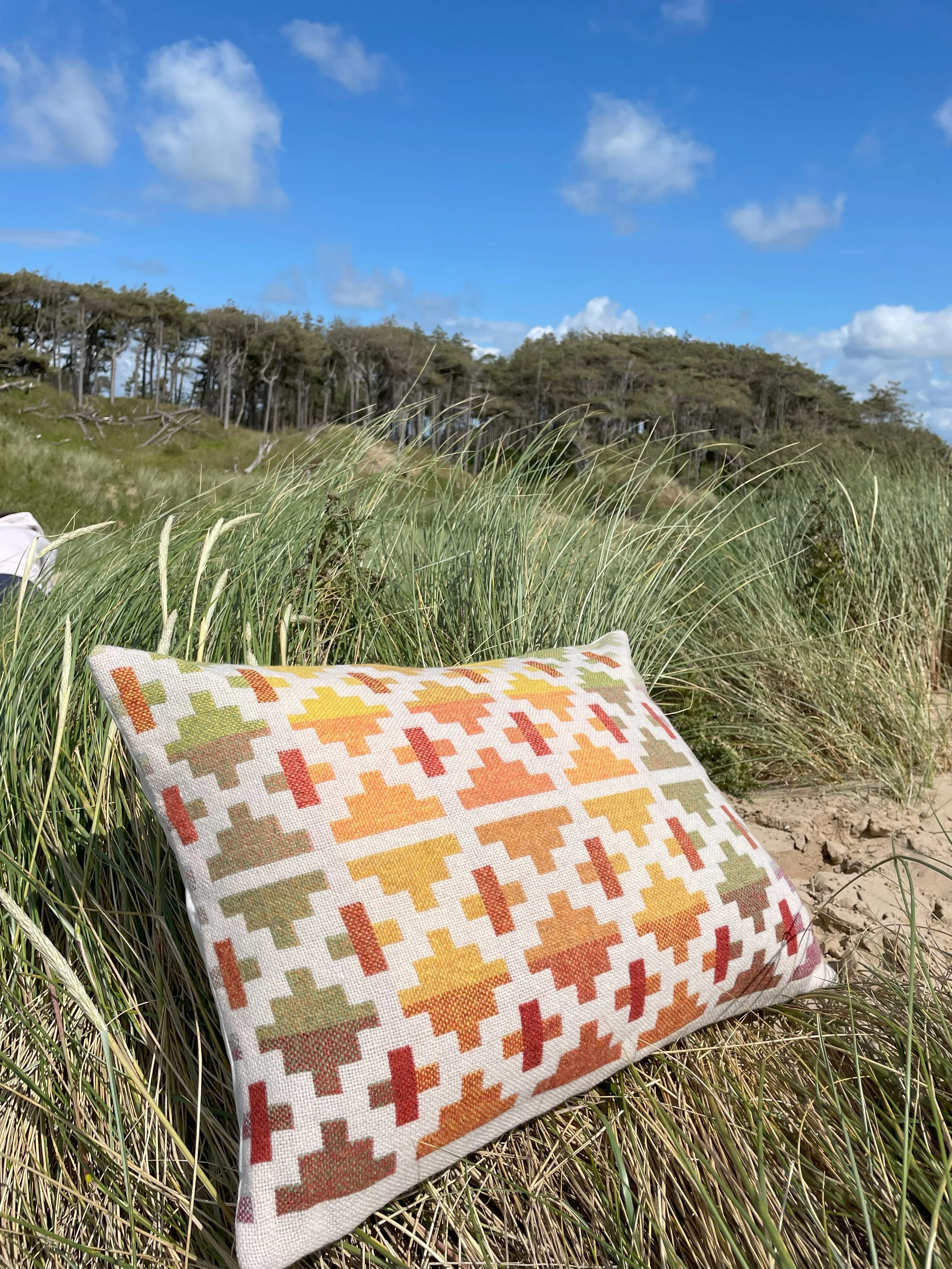 Godstone Cushion I - Orange and Gold