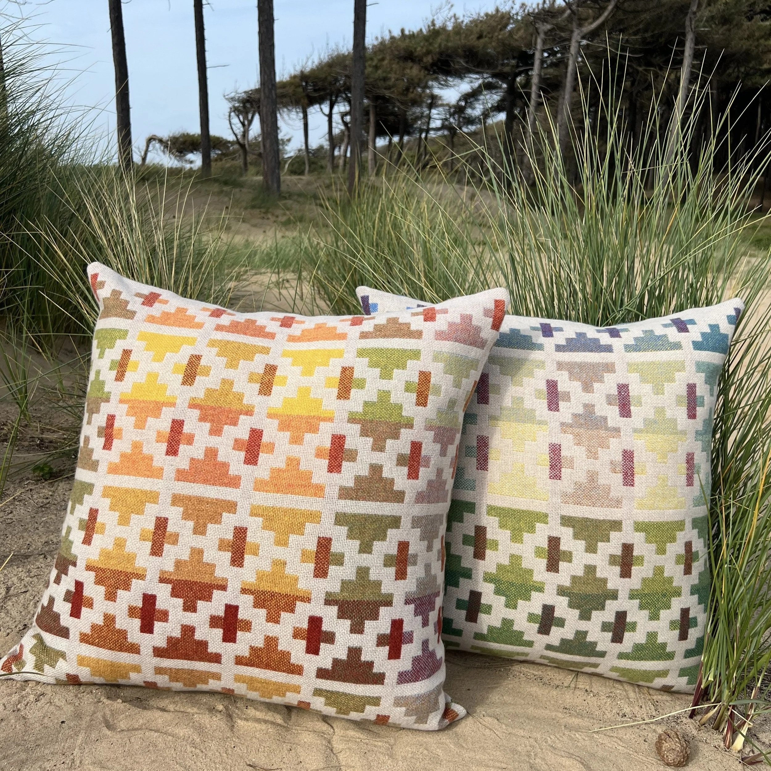 bigcushion.jpg