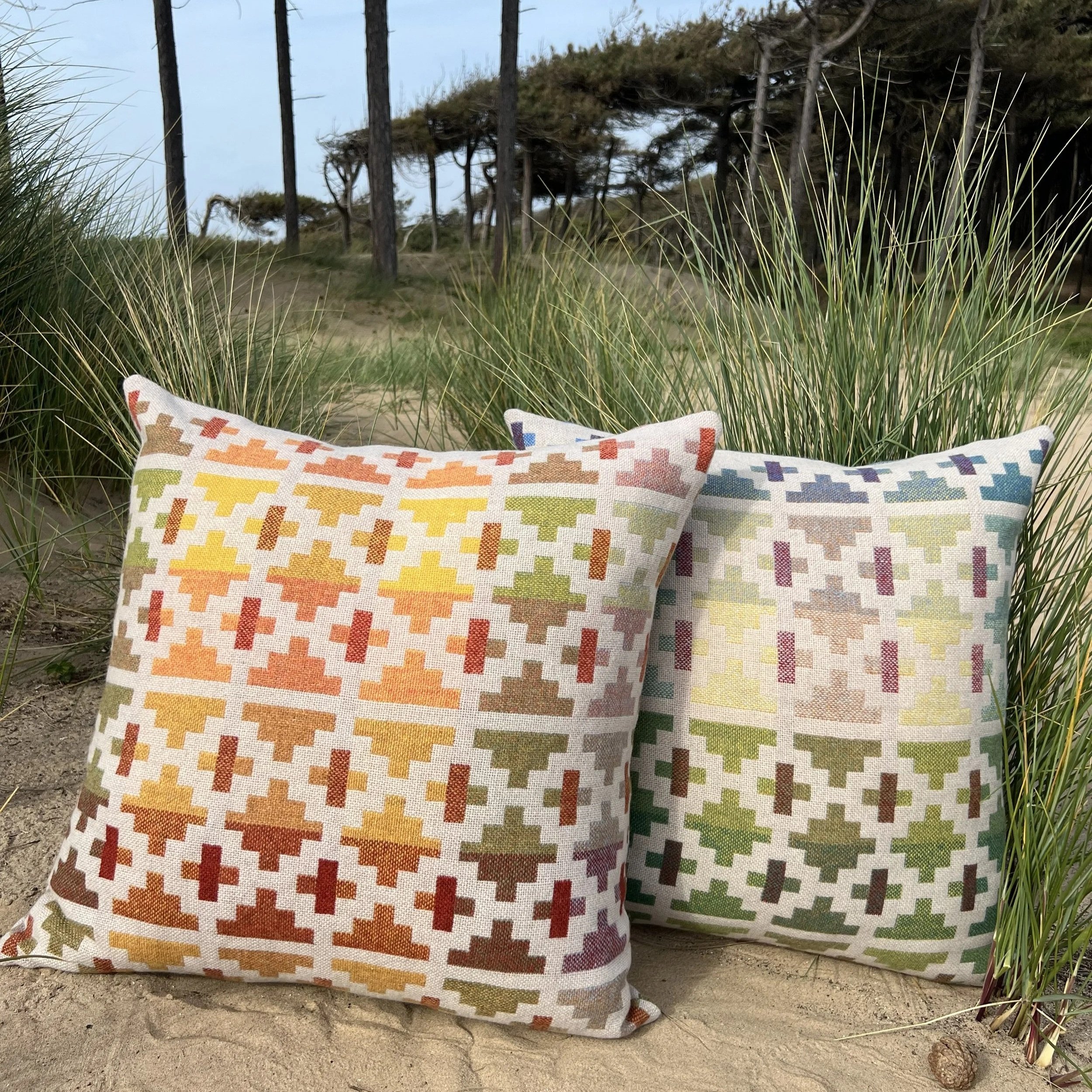 bigcushion.jpg