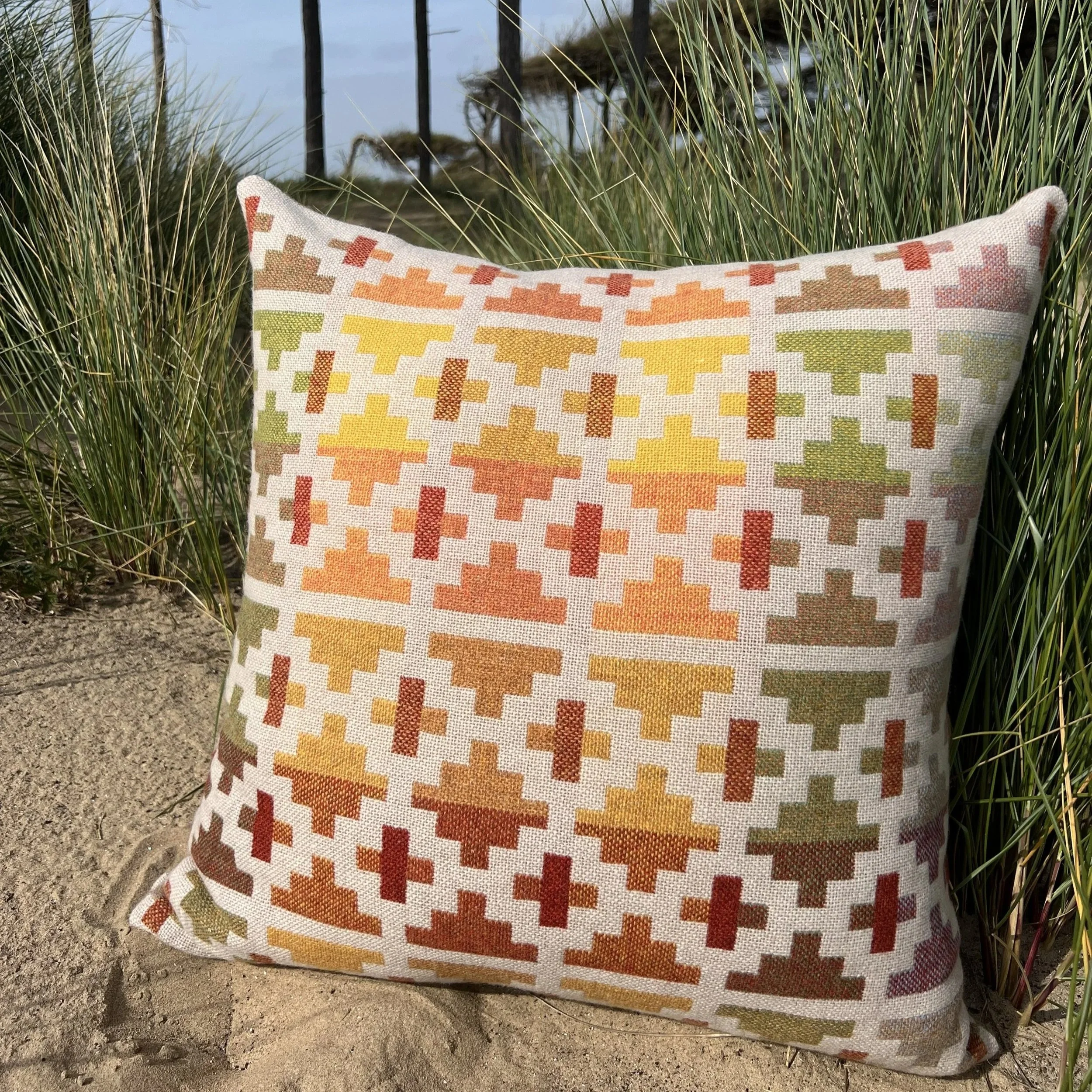 bigcushiono.jpg