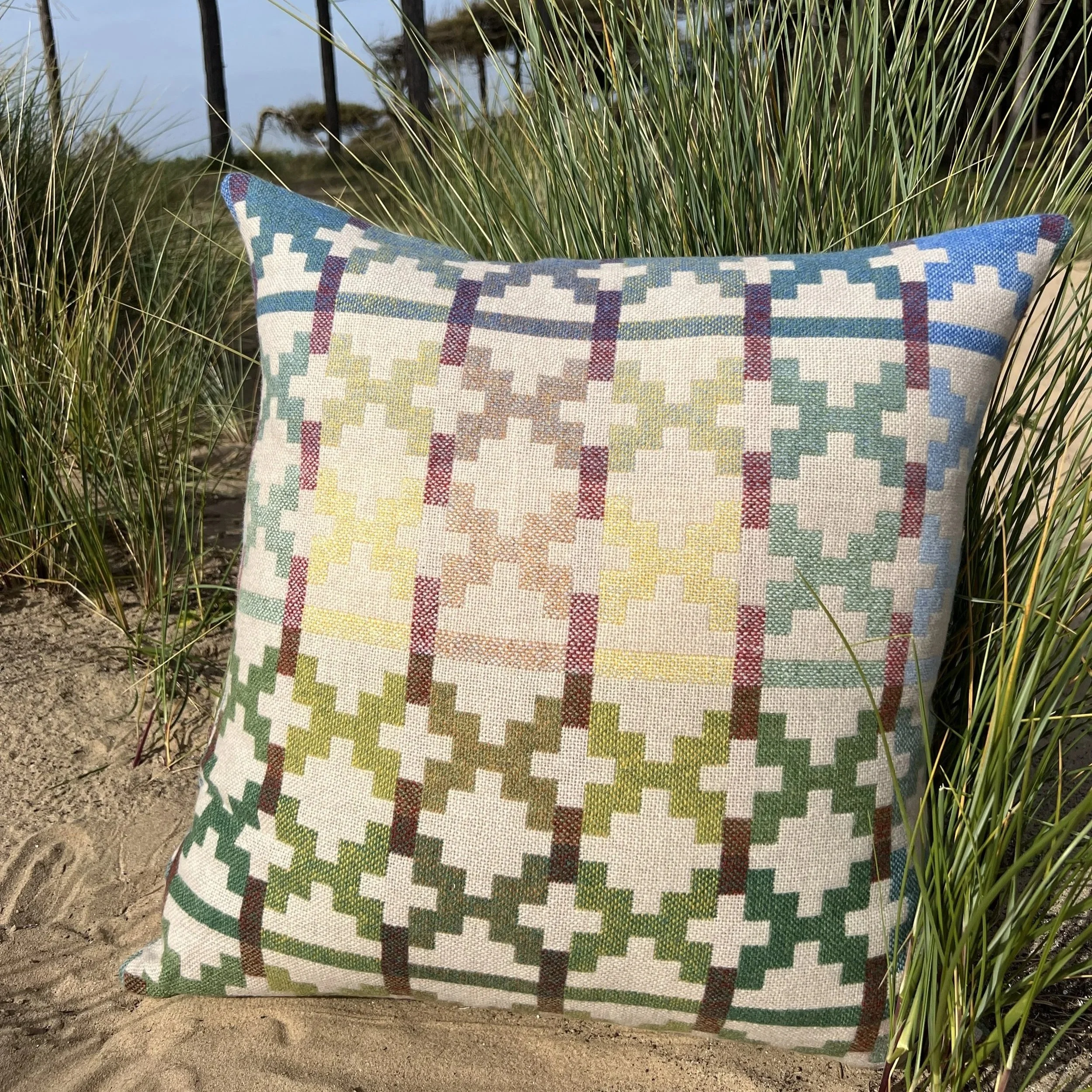 bigcushiong.jpg