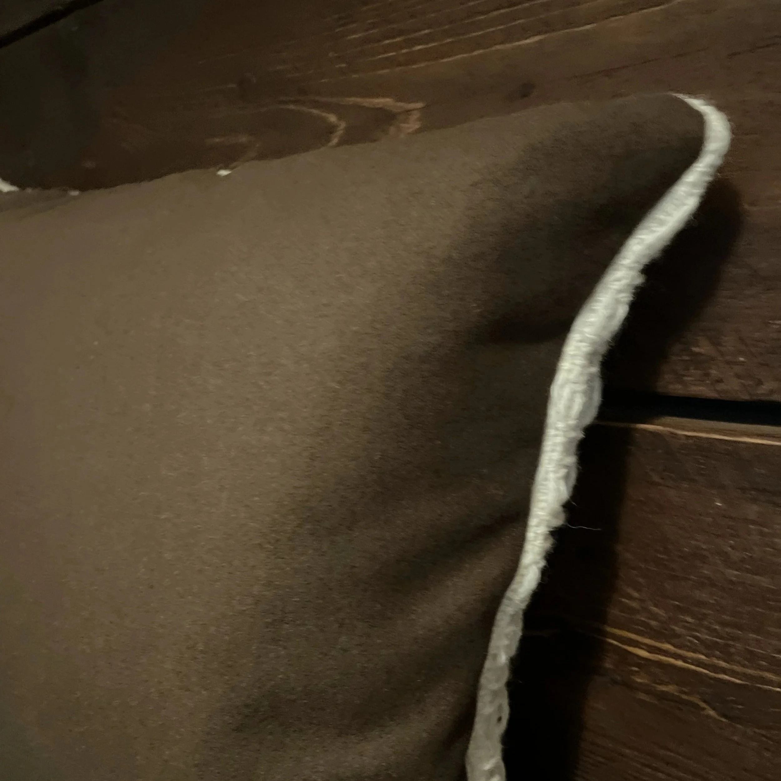 back2.jpg (Copy) (Copy)