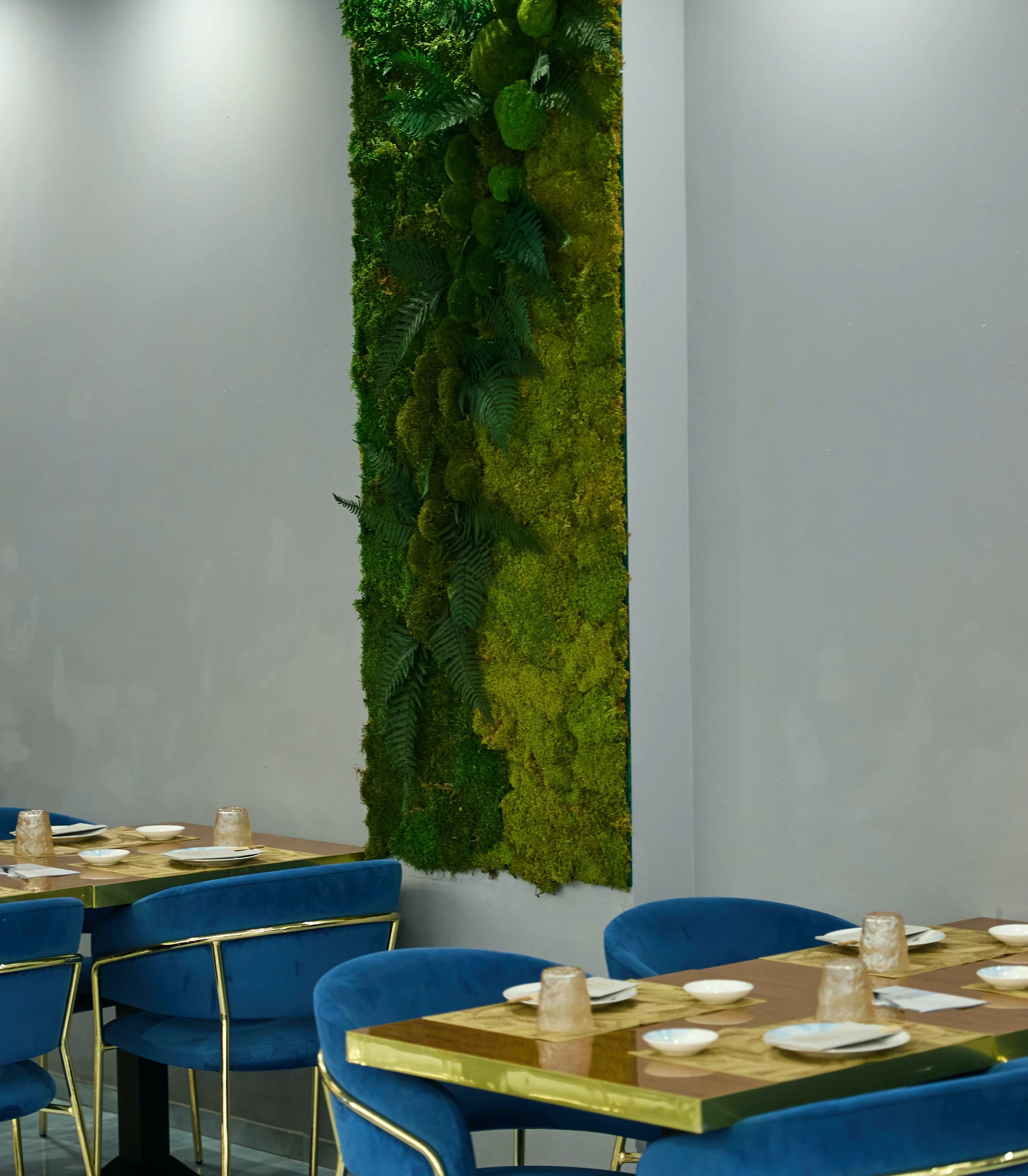Parete decorativa con muschio e piante verdi in una sala da pranzo moderna con tavoli e sedie blu.