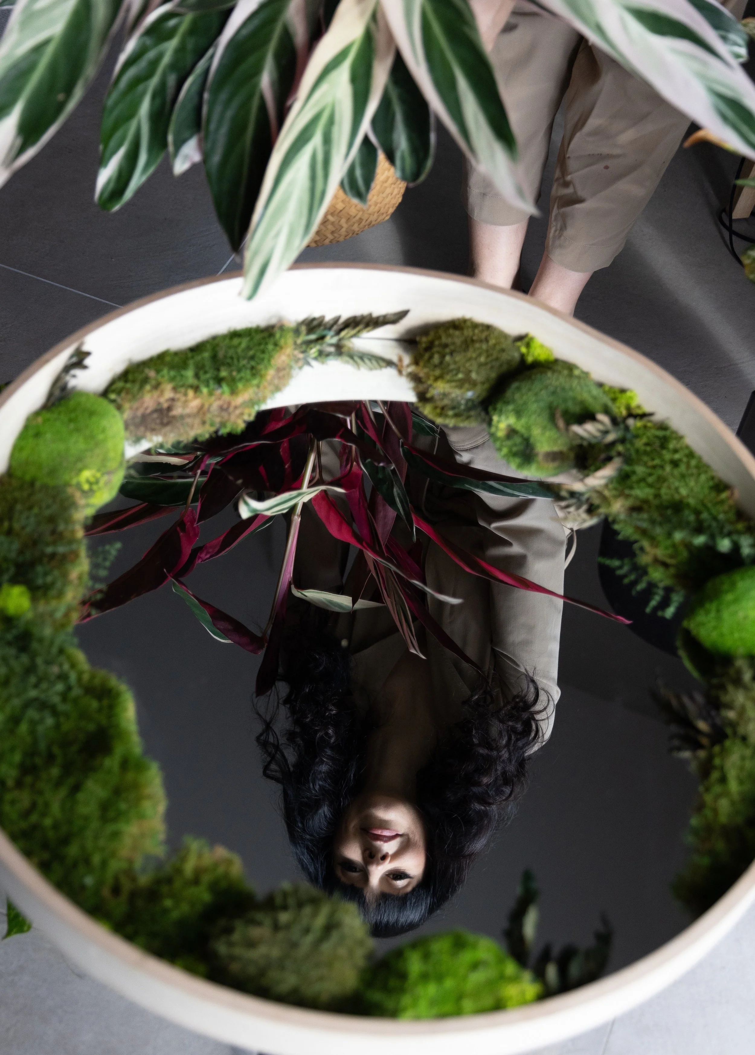 Riflesso di una donna con capelli ricci neri in uno specchio circolare circondato da piante verdi