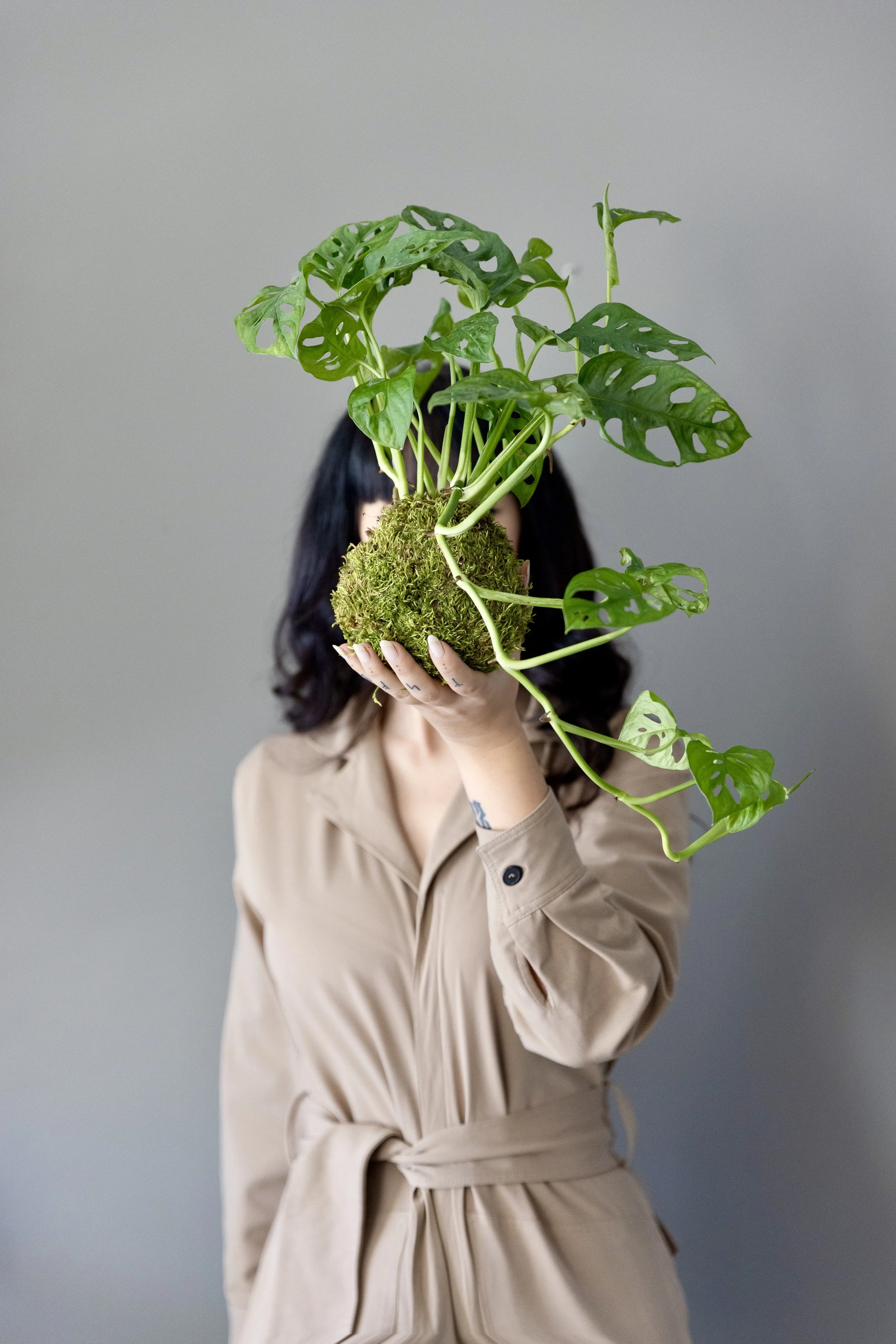 Persona che tiene in mano una pianta di Monstera con radice a sfera di muschio, coprendo il volto, indossando un trench beige e uno sfondo grigio.