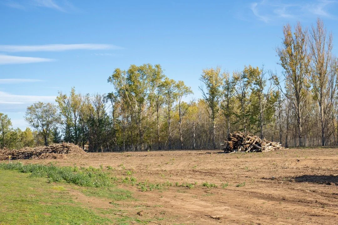 land clearing in West columbia TX